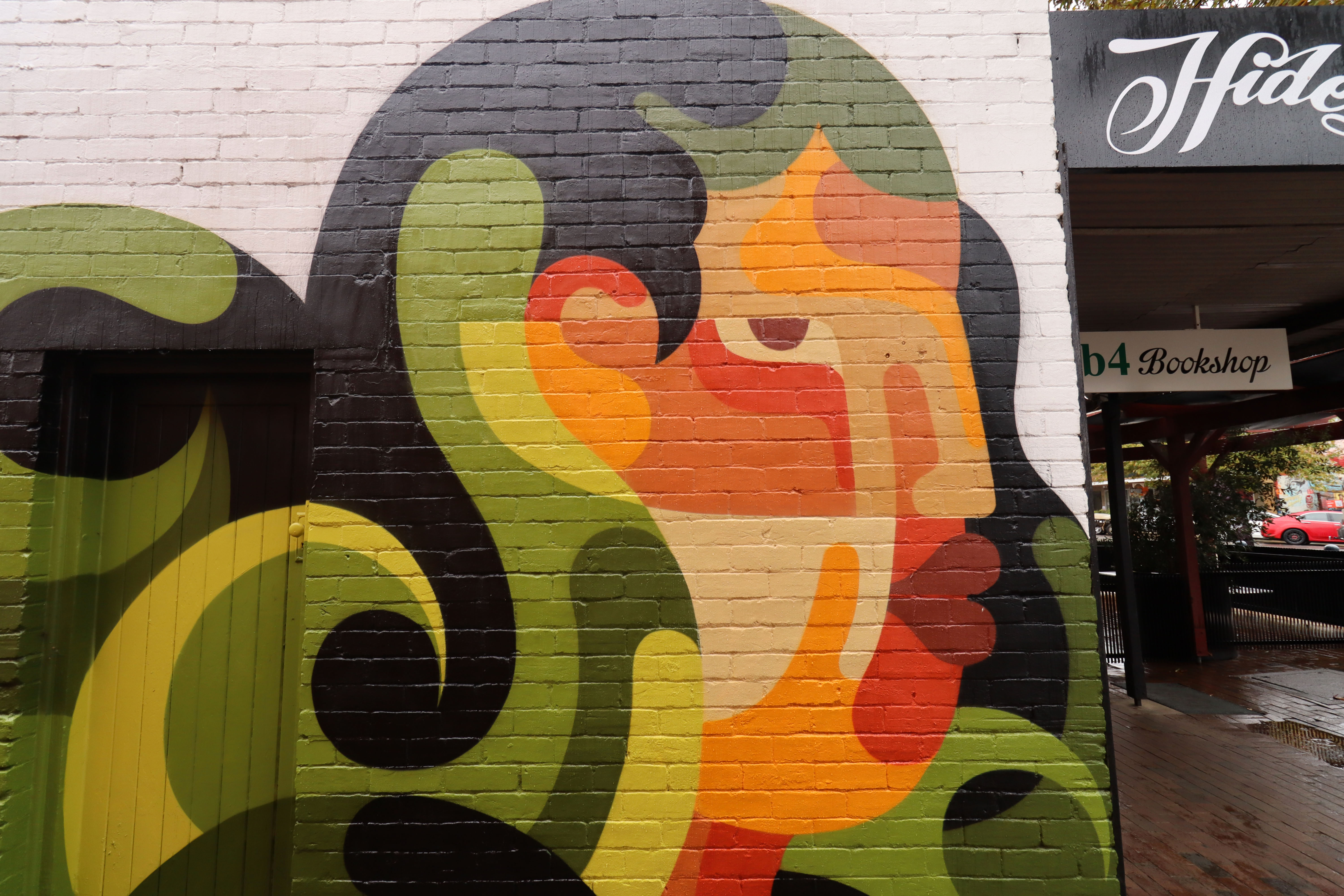 Mother Nature by Reka One | Street Art NSW