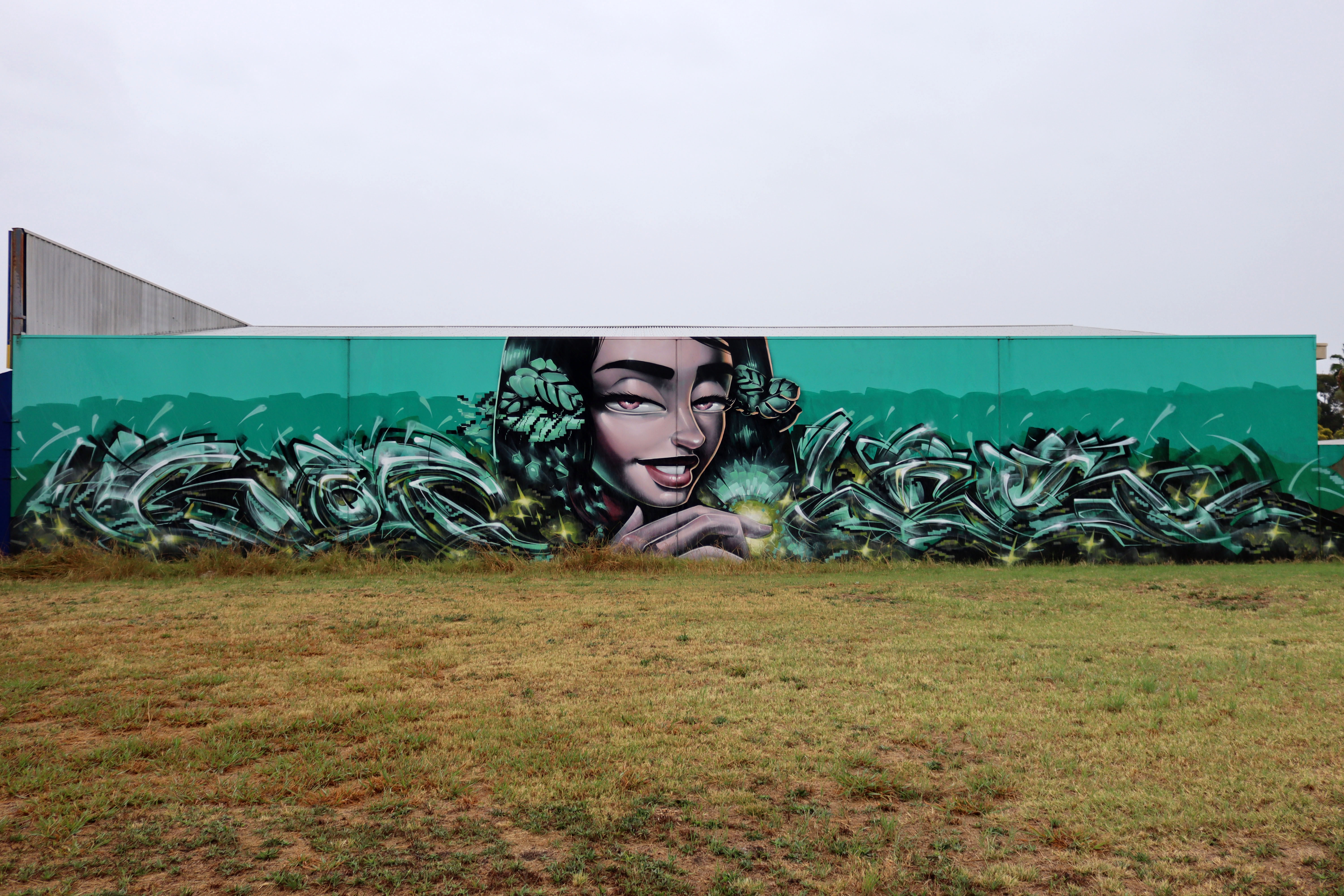 Untitled by Sofles | Street Art NSW