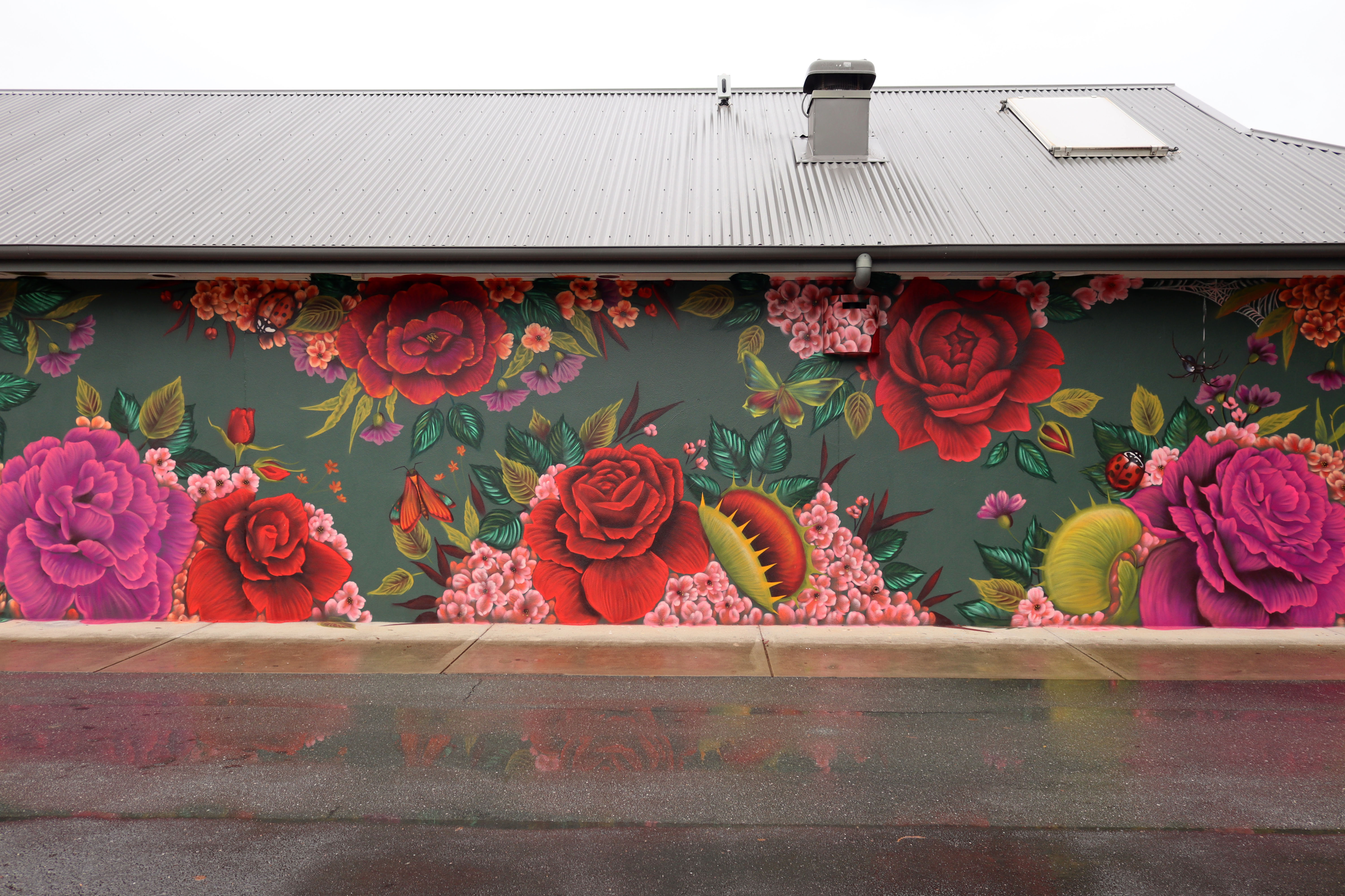 Untitled by Amanda Valdes | Street Art NSW