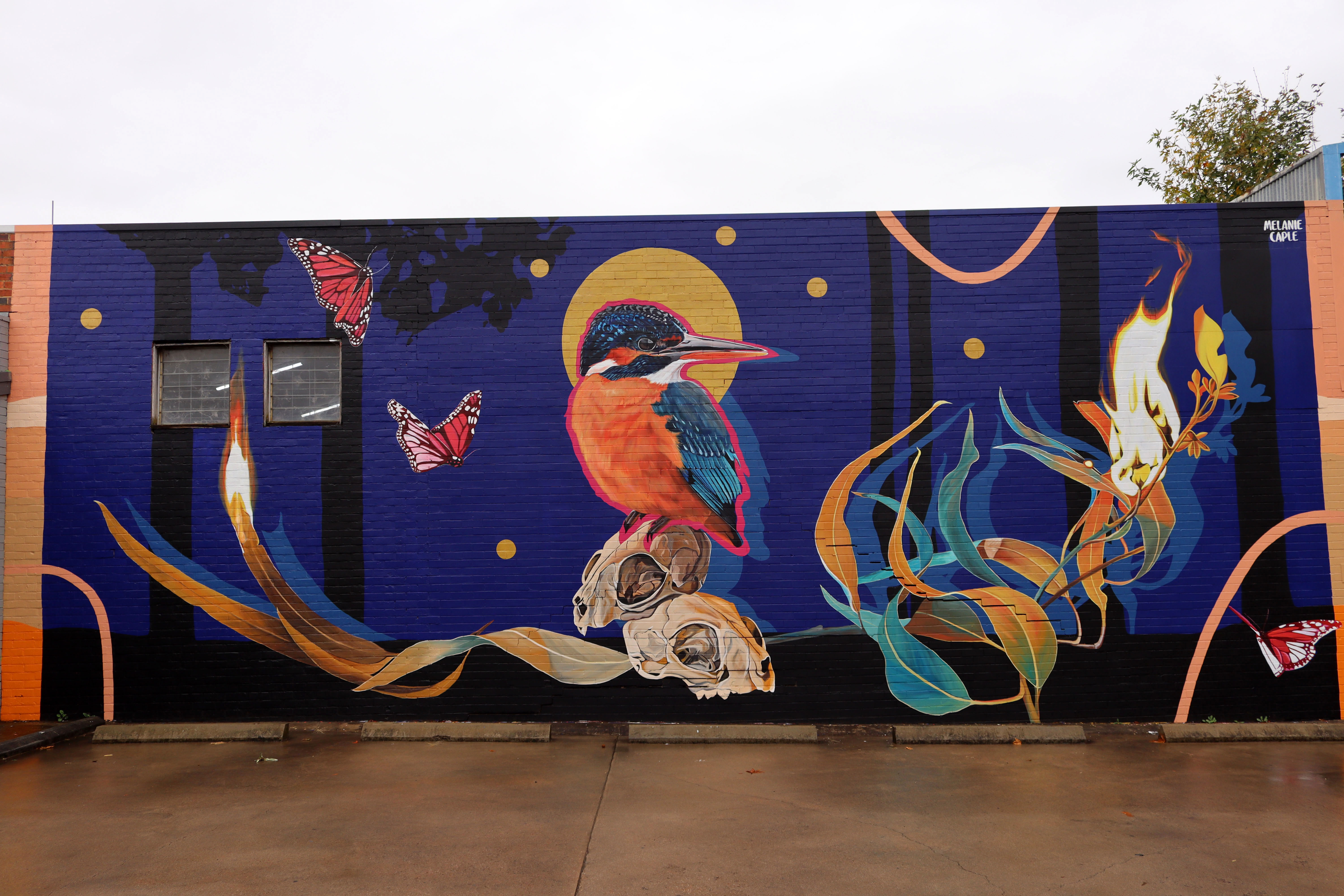 Kingfisher by Melanie Caple | Street Art NSW