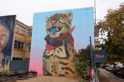 Wild Cat with Blue Tongue