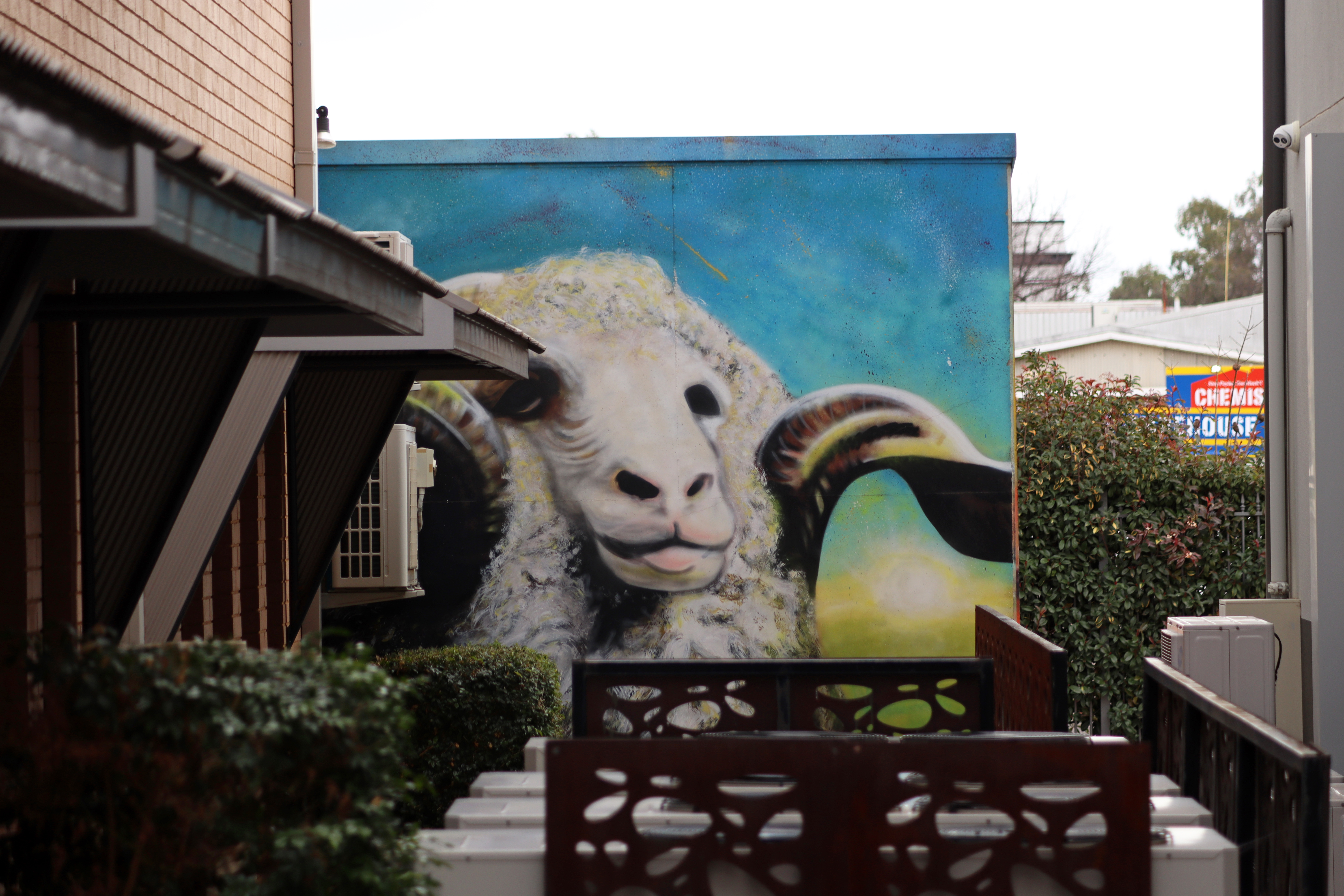 Sir Henry (Kater's Ram) by Poncho Army | Street Art NSW