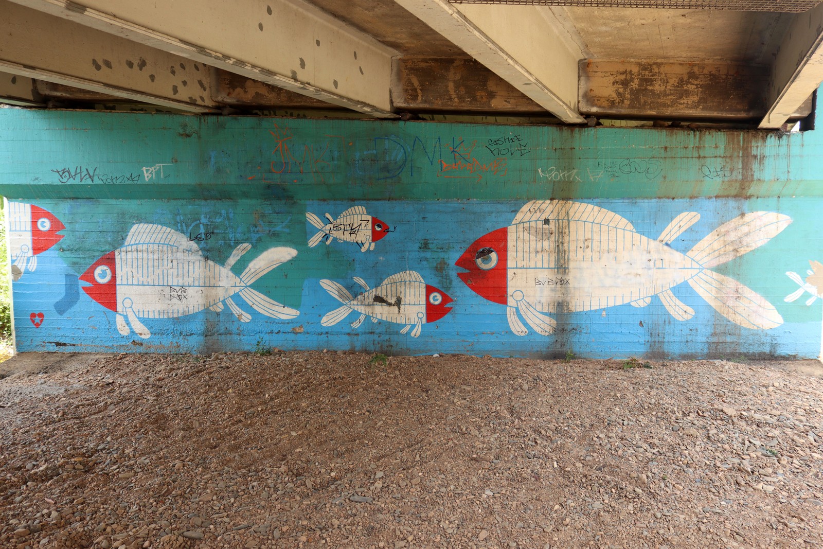 Commuter Fish by India Collins | Street Art NSW