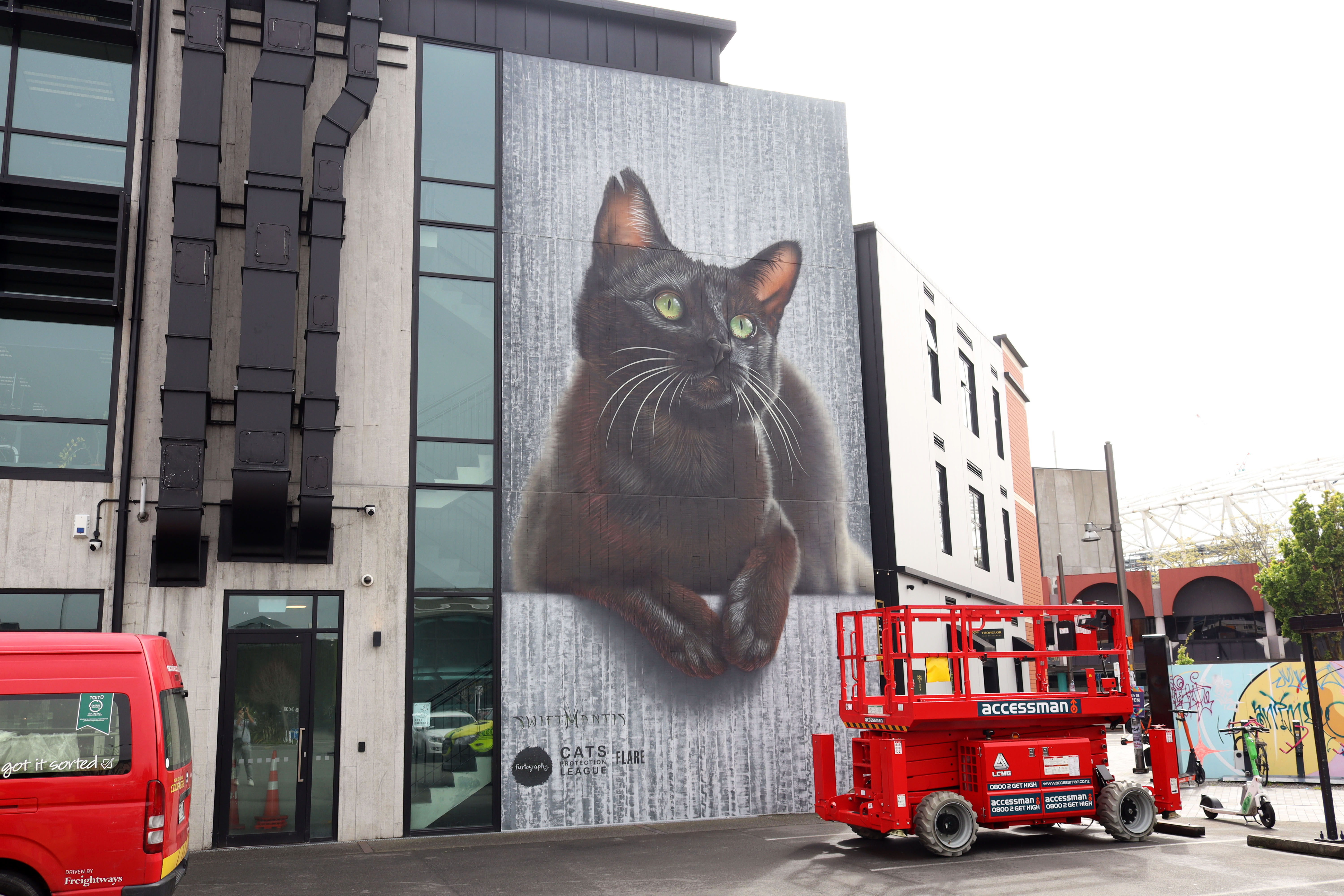 Olive by SwiftMantis | Street Art NSW