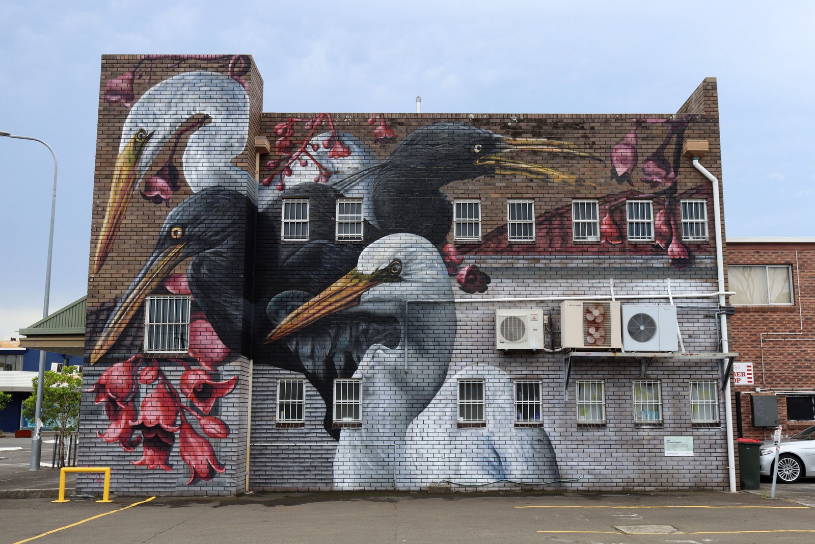 Stronger Together by Trait | Street Art NSW