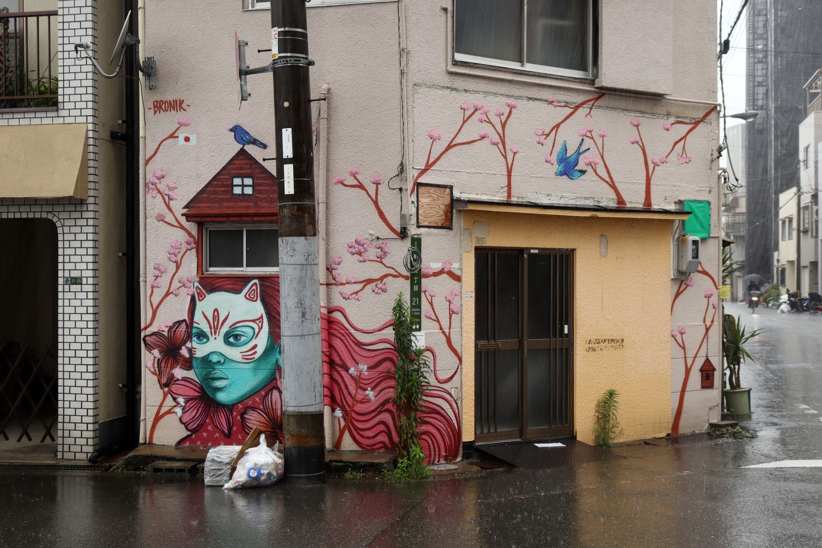 Surrounded by Sakuras by BRONIK | Street Art NSW