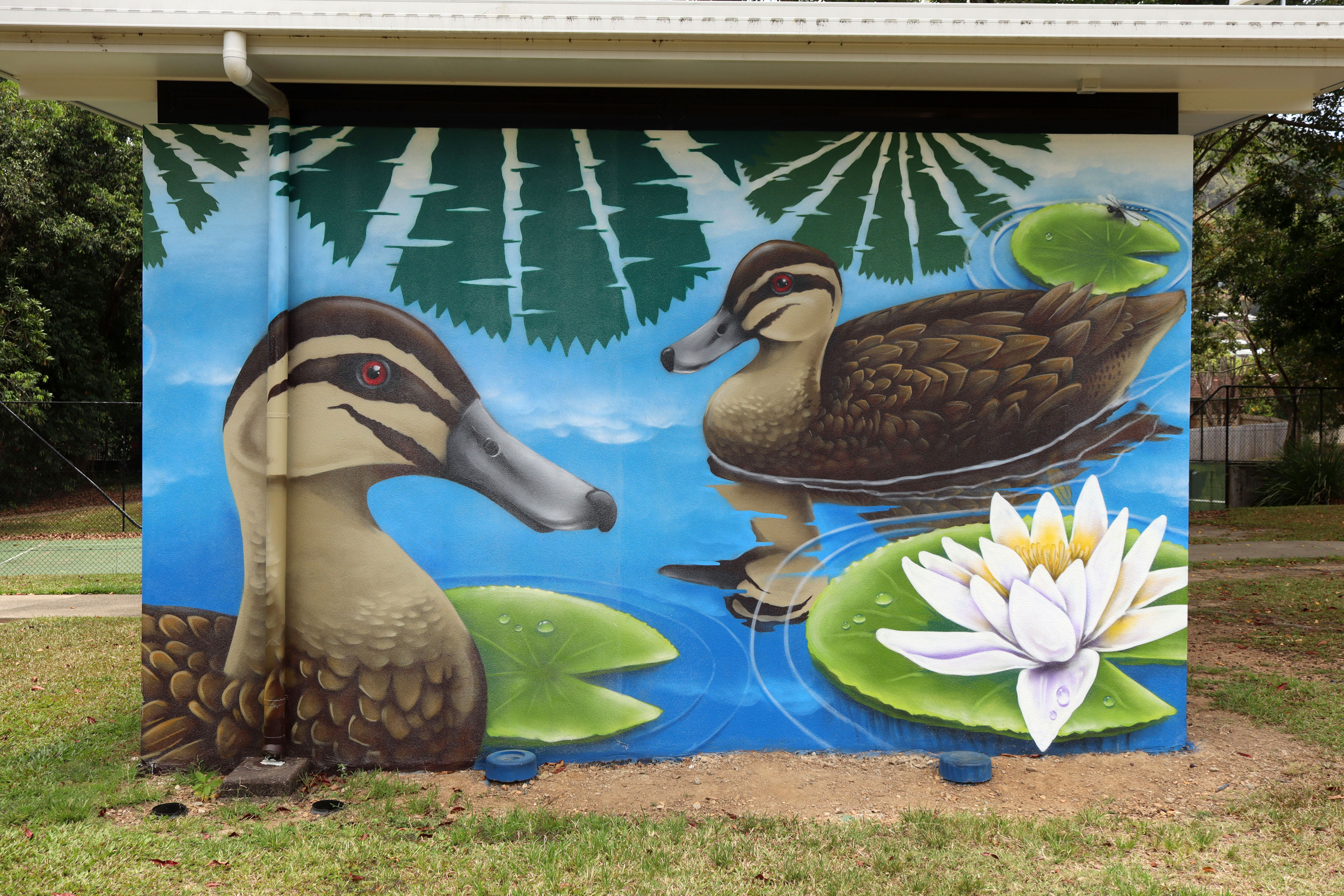 Duck Park by Daniel Wallwork | Street Art NSW