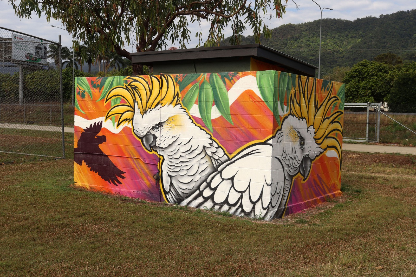 White Cockatoos by Daniel Wallwork | Street Art NSW