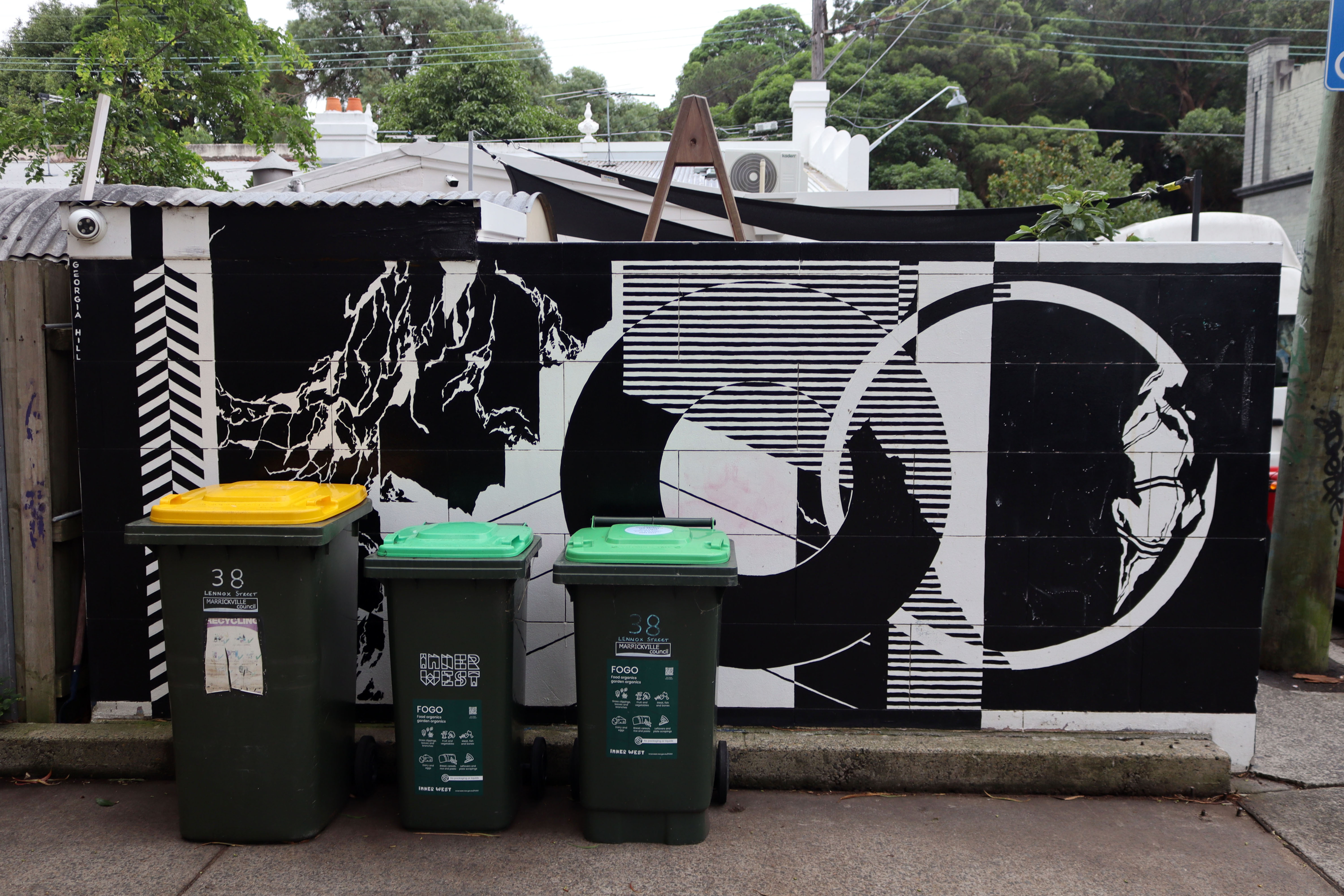 Familiar Form by Georgia Hill | Street Art NSW