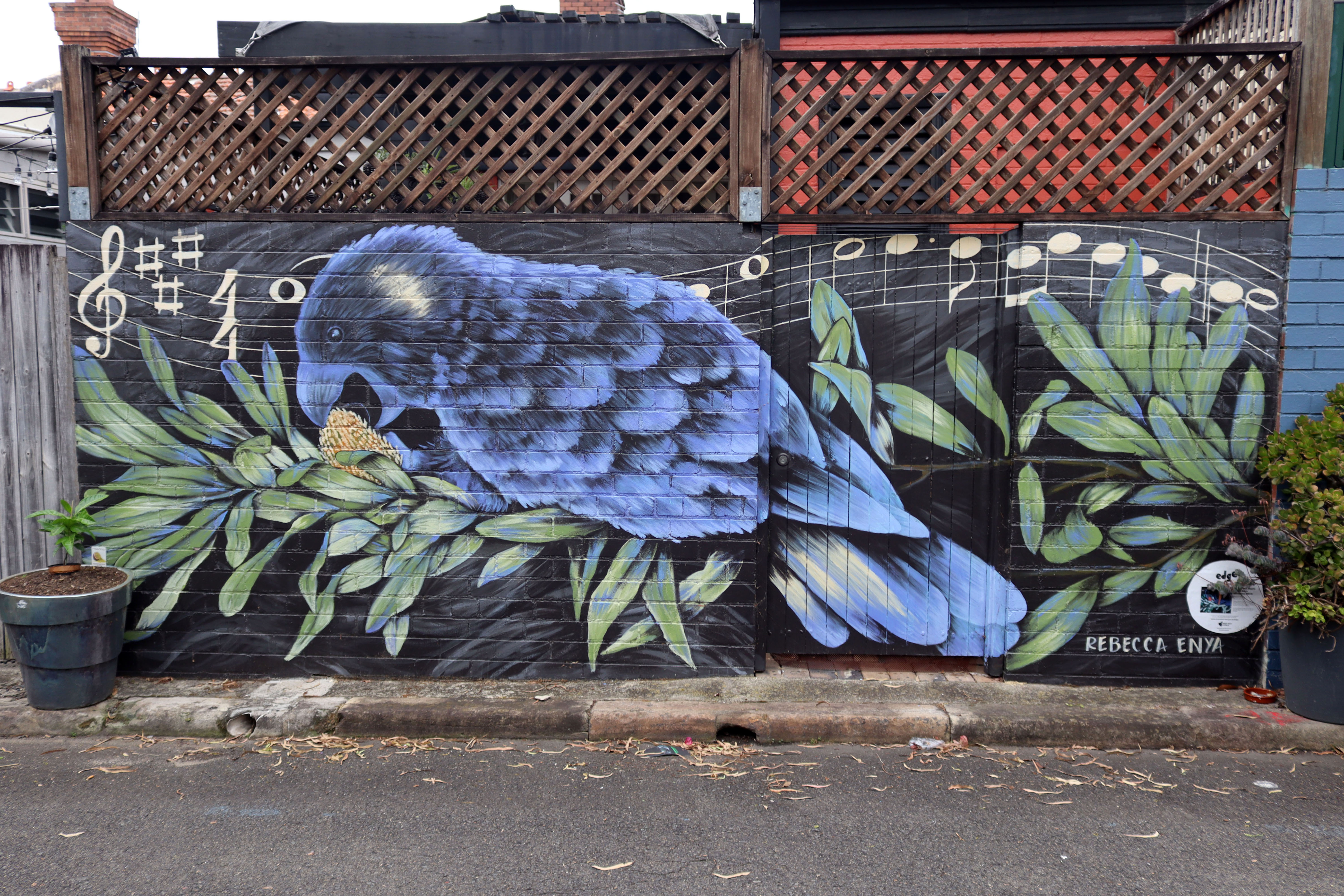 Love in Our Hearts with a Black Cockatoo by Rebecca Lourey | Street Art NSW