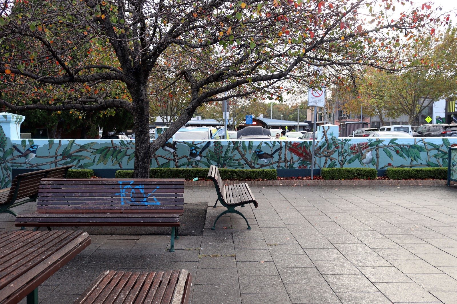 Bottlebrush Symphony by Hugues Sineux | Street Art NSW