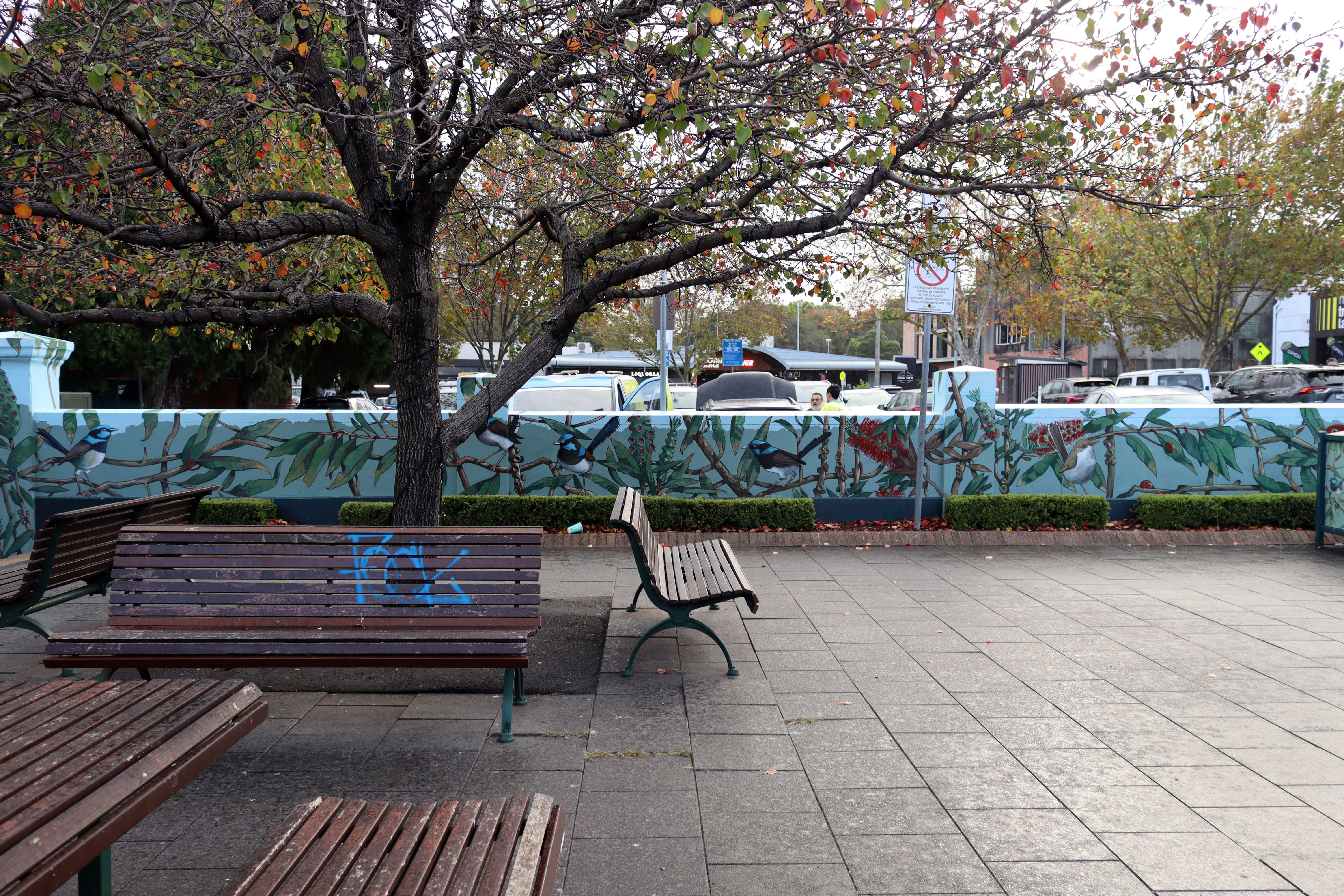 Bottlebrush Symphony by Hugues Sineux | Street Art NSW
