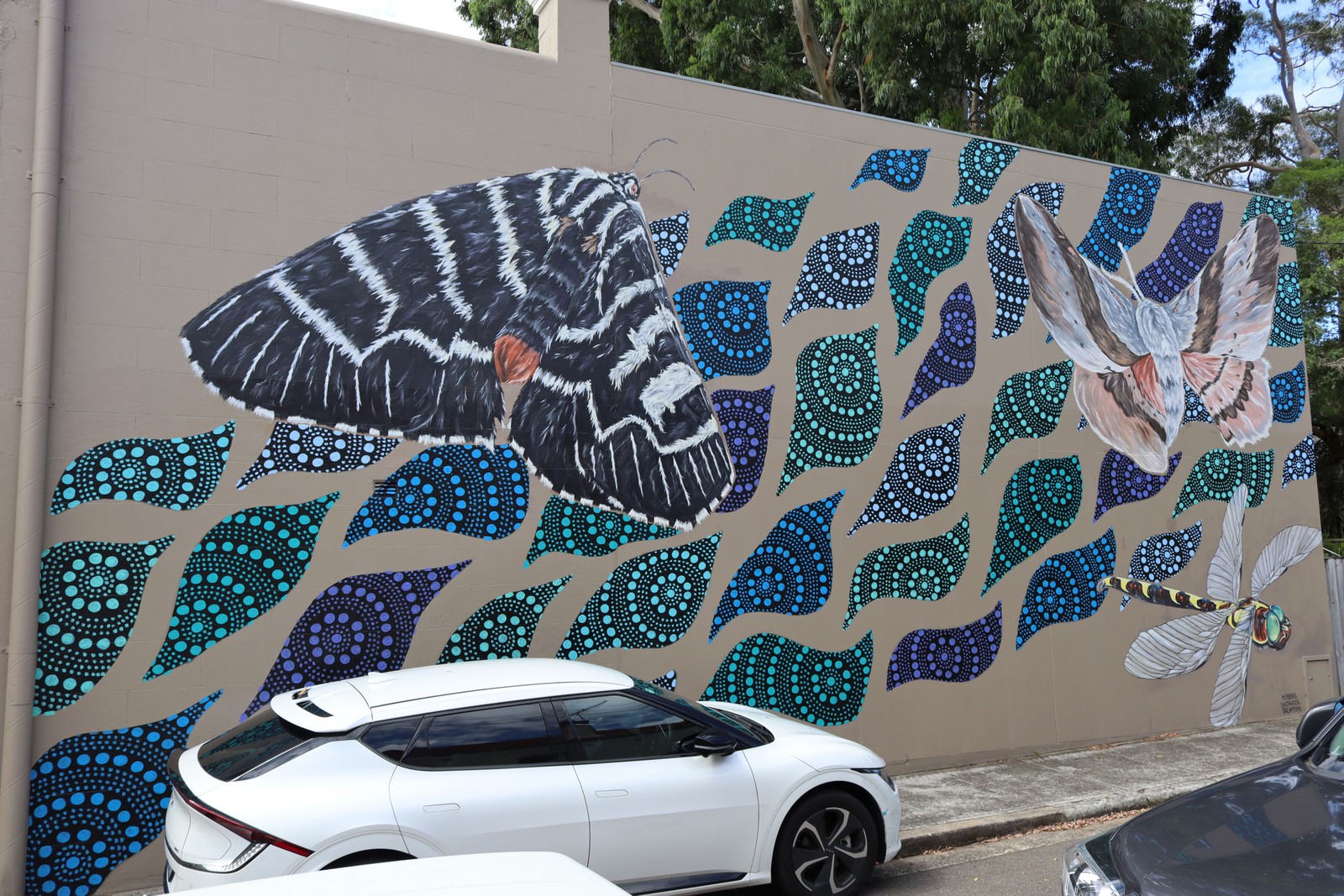 Fishers Reserve Waterhole by Alex Bebbington | Street Art NSW