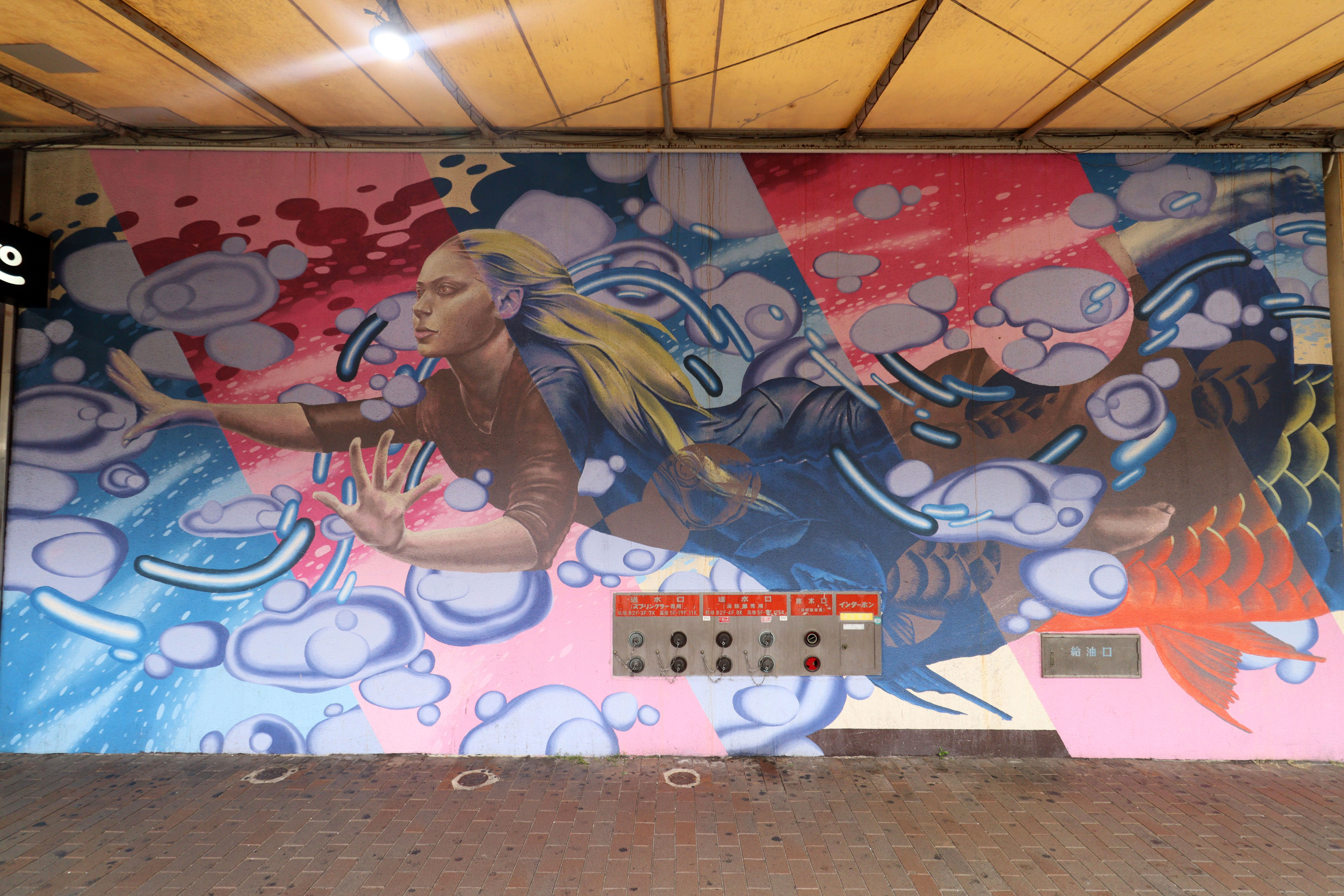 Untitled by WHOLE9 | Street Art NSW