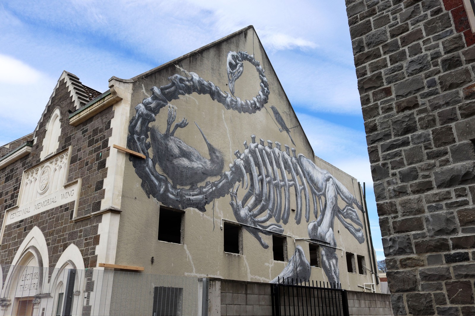 Moa by ROA | Street Art NSW