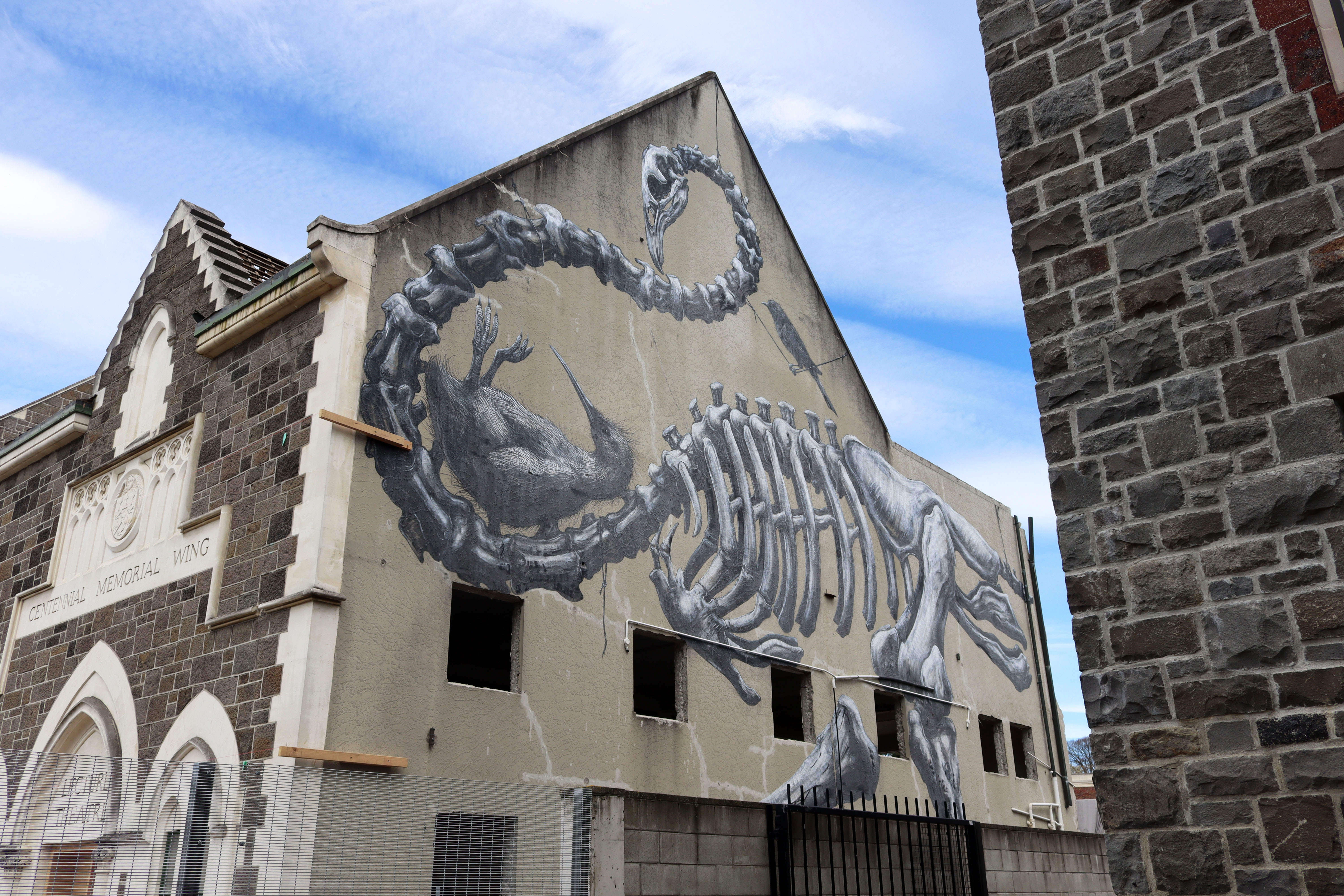Moa by ROA | Street Art NSW