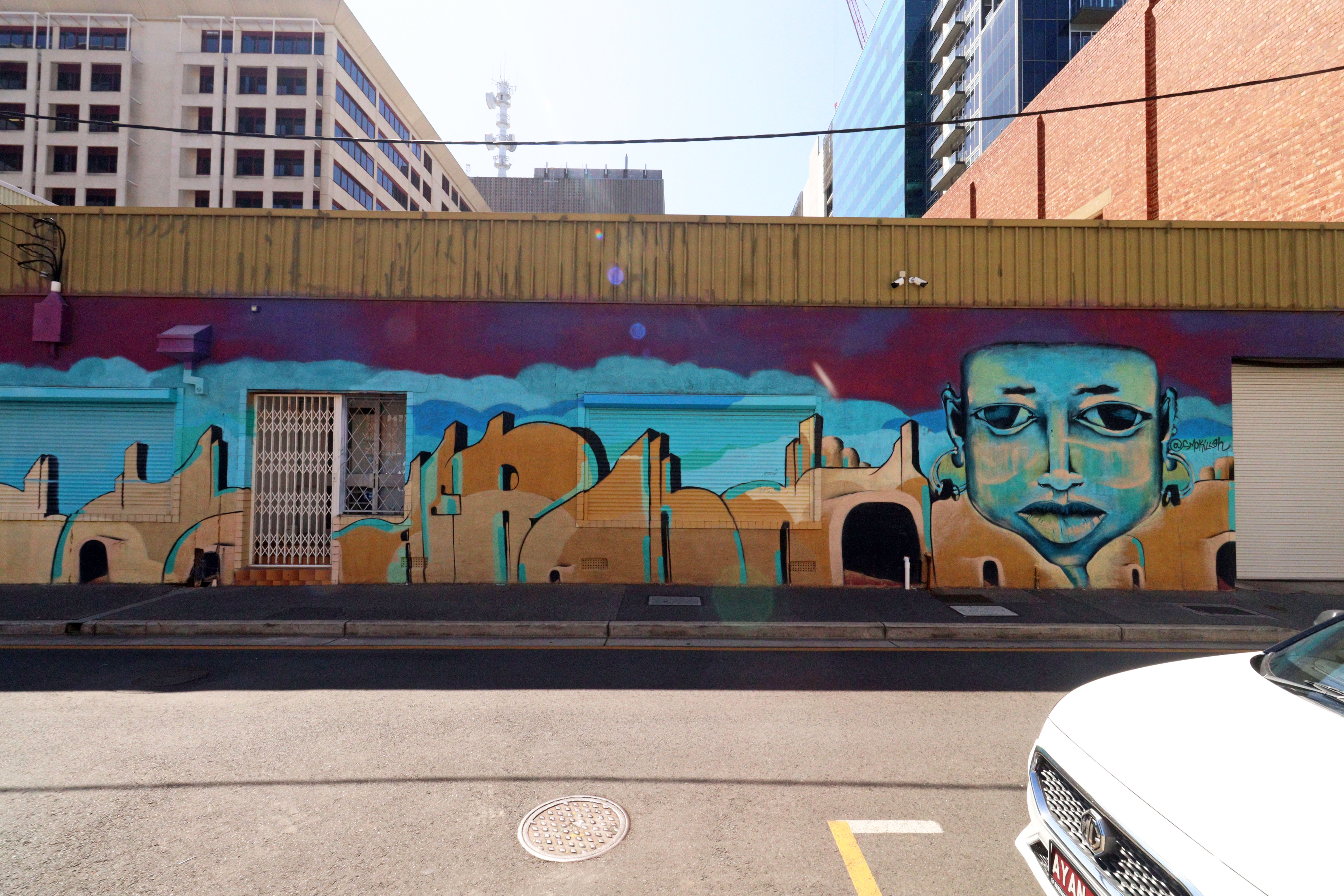 Untitled by Smokilla | Street Art NSW