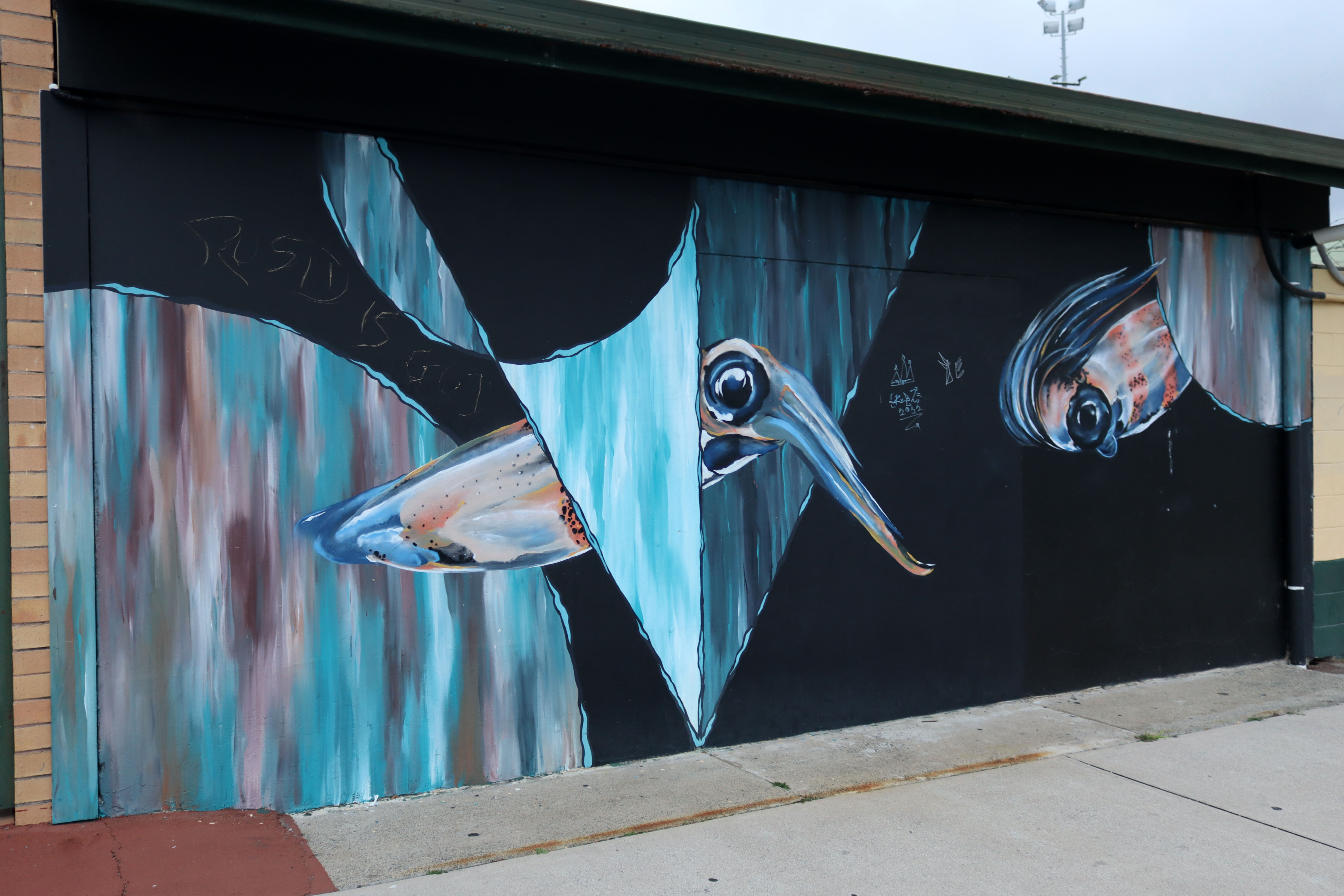 The Cephalopod by David Houghton | Street Art NSW