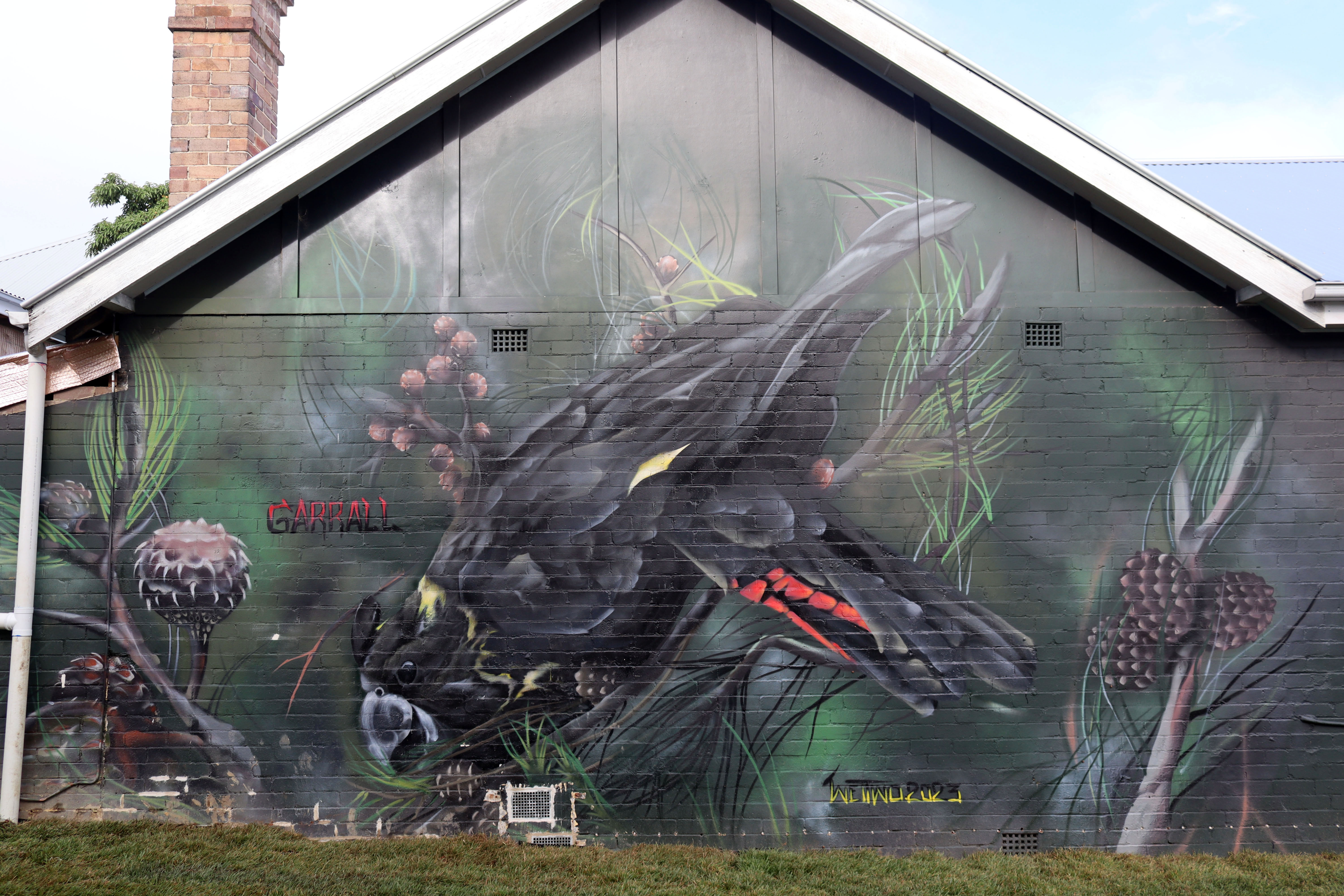 Garrall (Black Cockatoo) by Joe Quilter | Street Art NSW