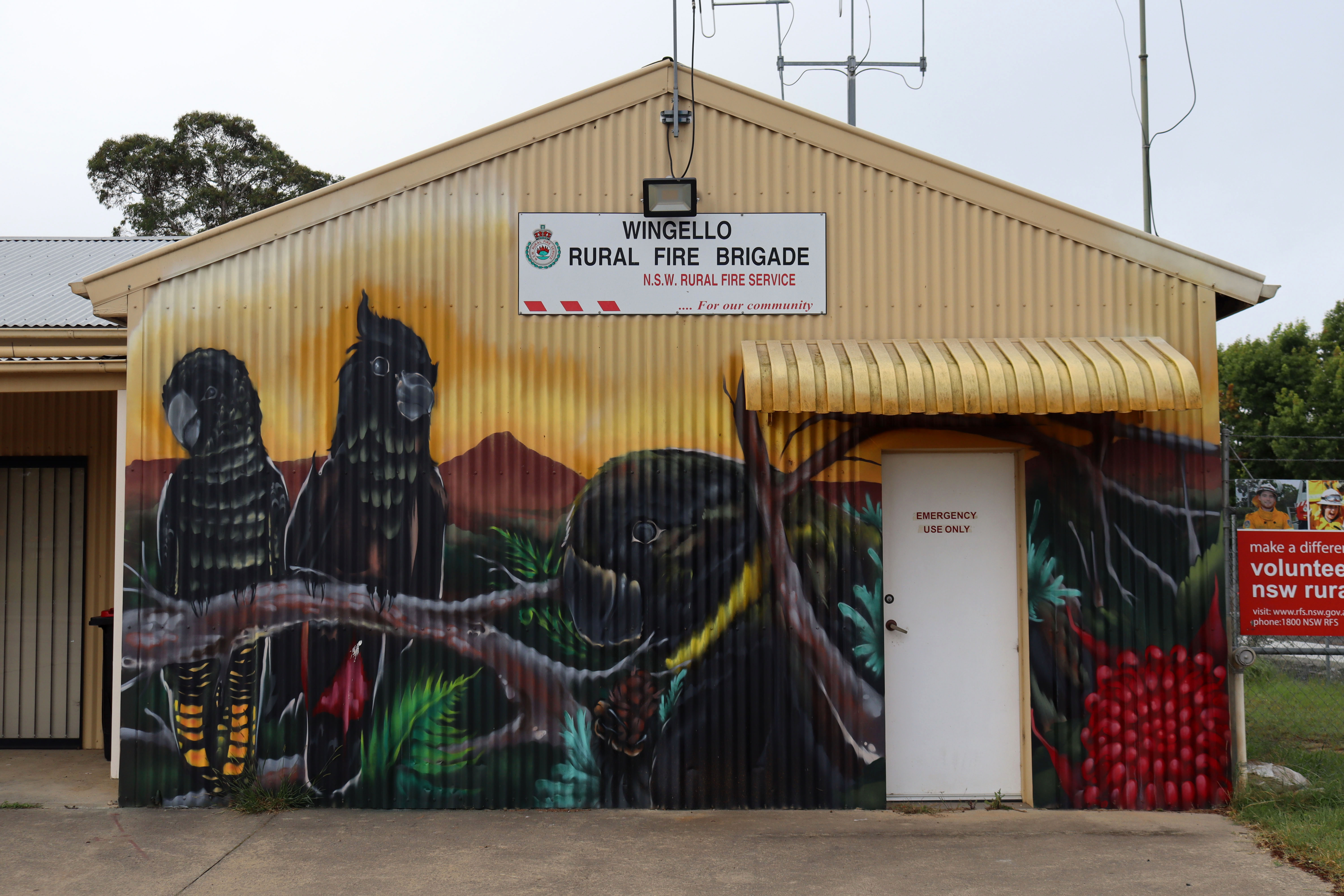Wingello Rural Fire Brigade by Joe Quilter | Street Art NSW