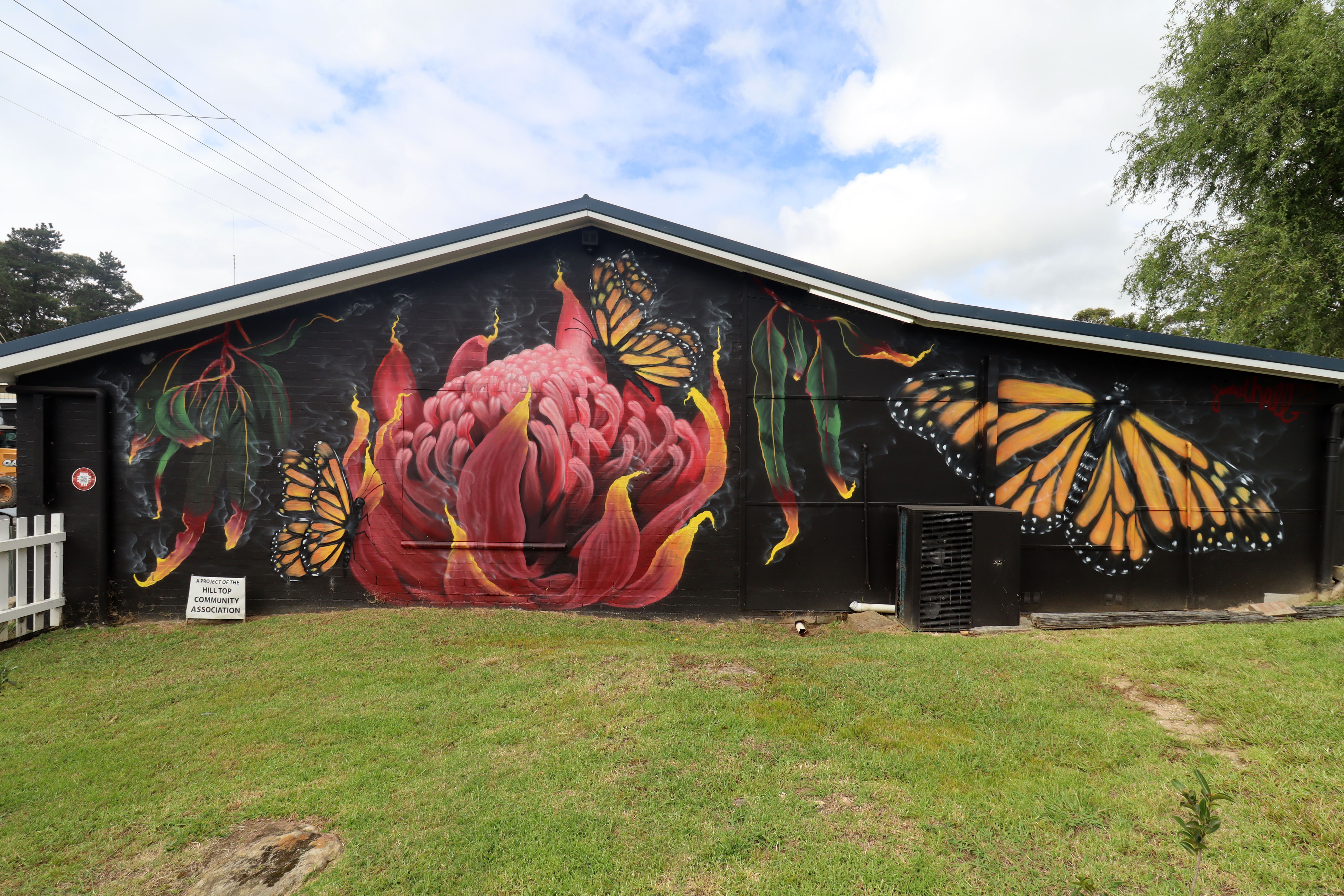 Untitled by Samuel Hall | Street Art NSW