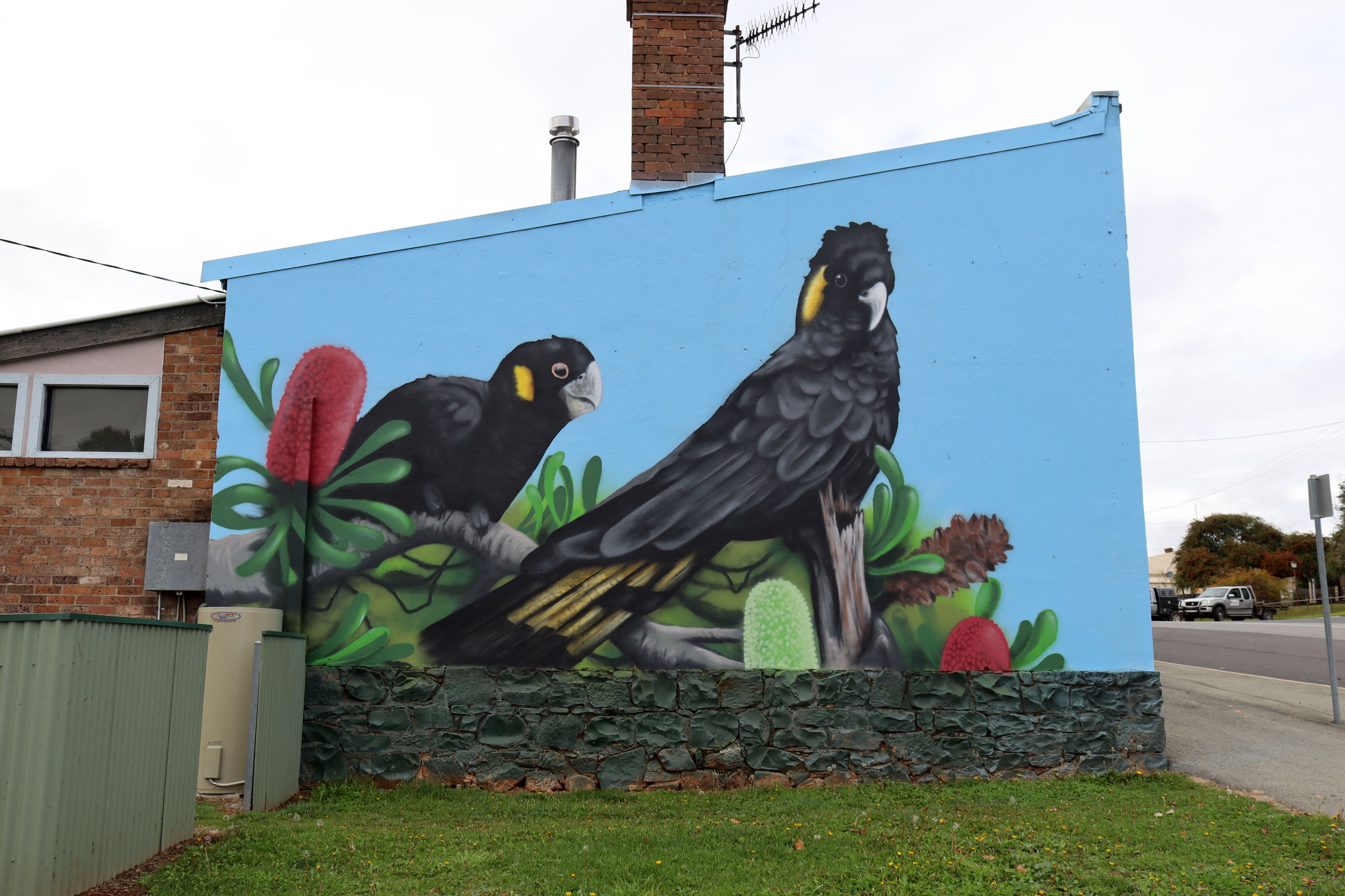 Yellow-tailed Black Cockatoos by Uncle Cuggs | Street Art NSW