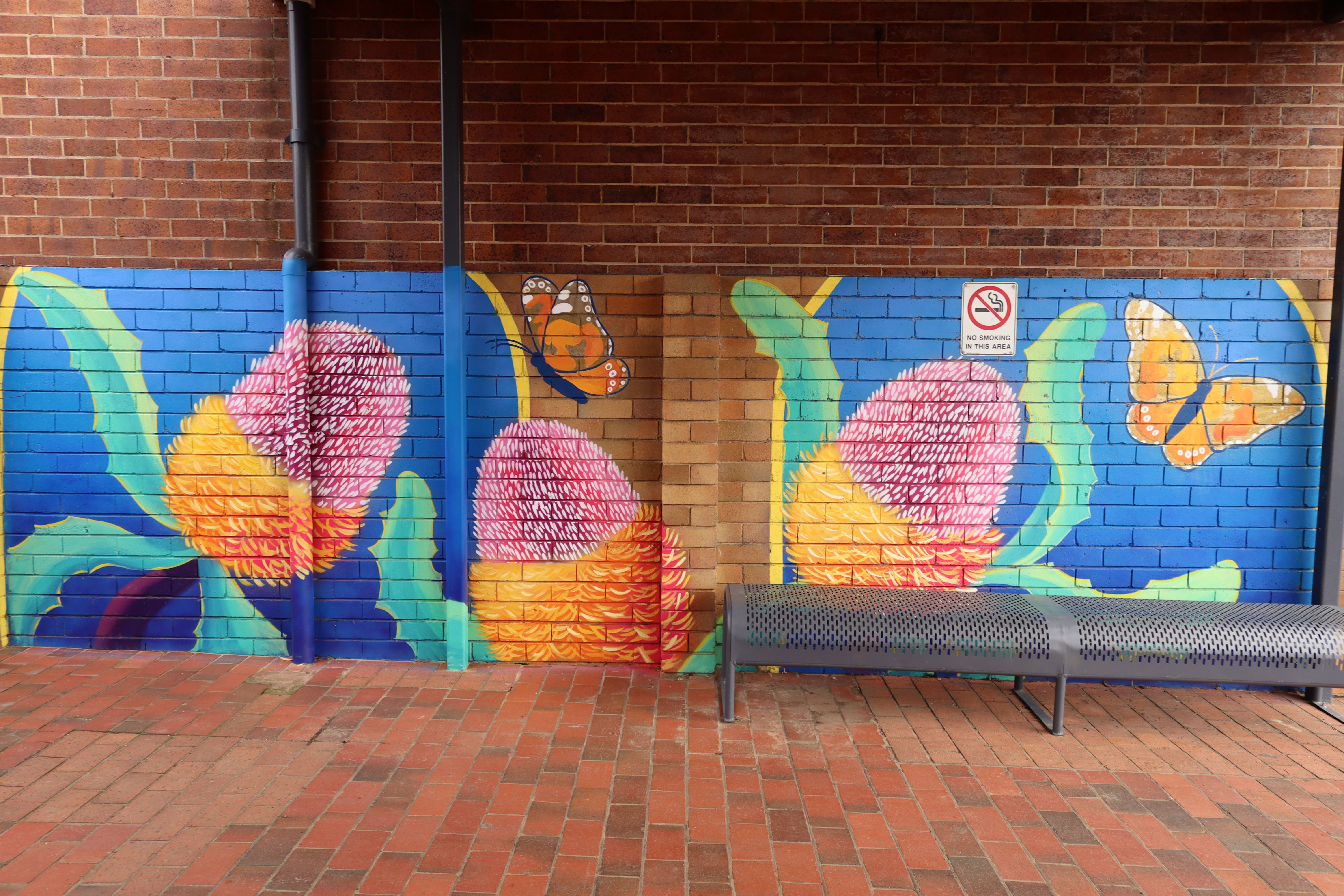 Banksia by Bohie | Street Art NSW