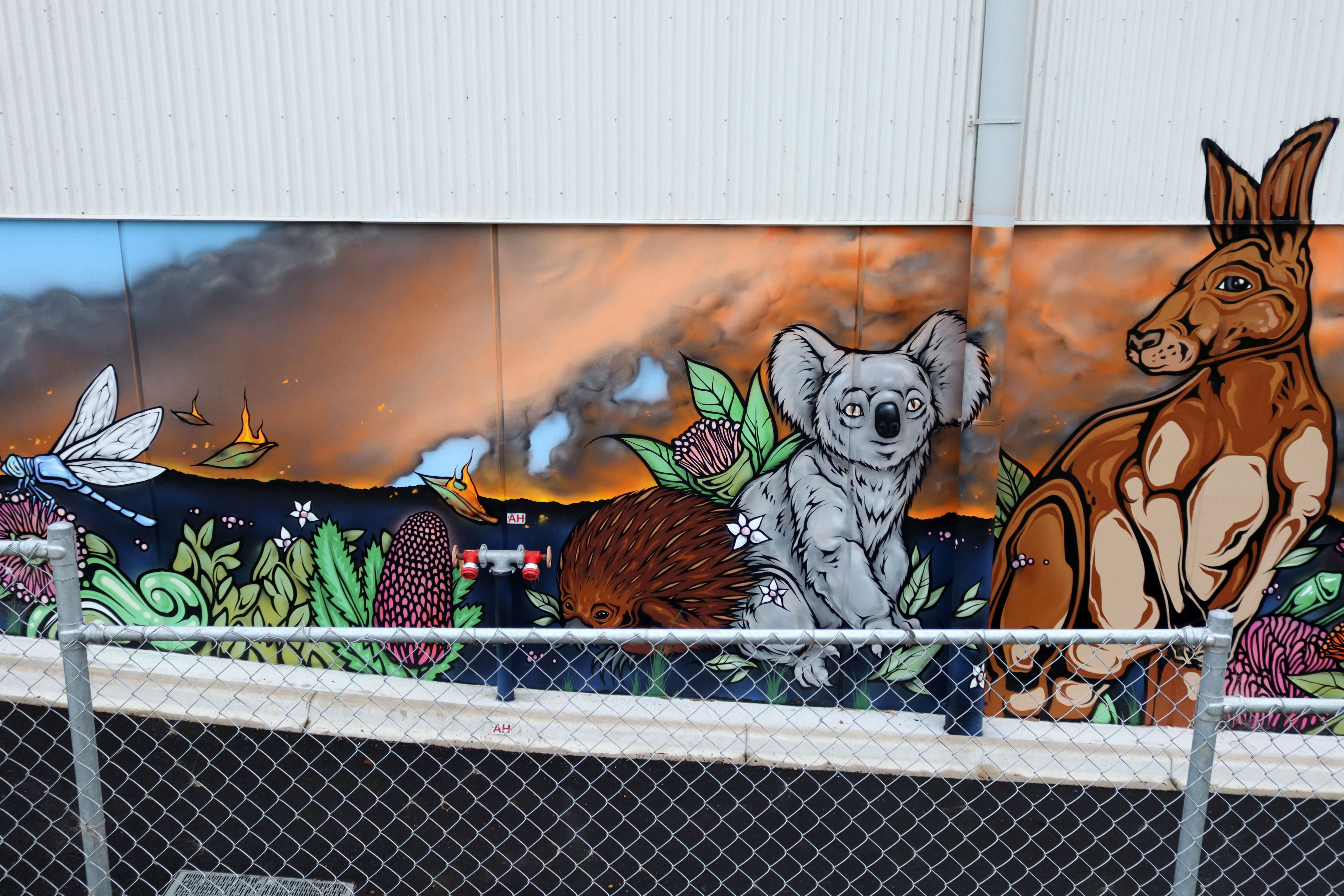 Untitled by Phibs | Street Art NSW