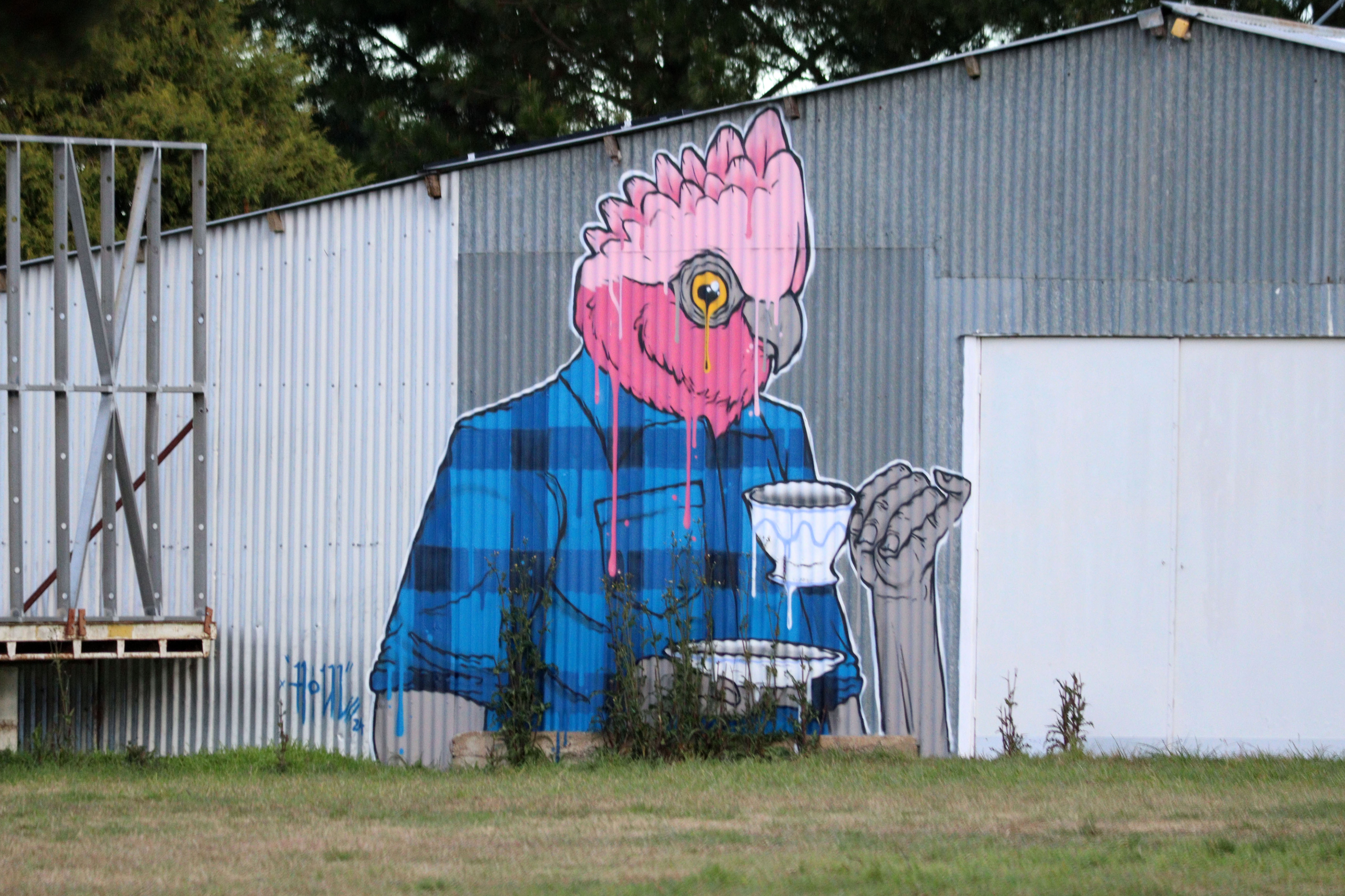 Galah by Houl | Street Art NSW