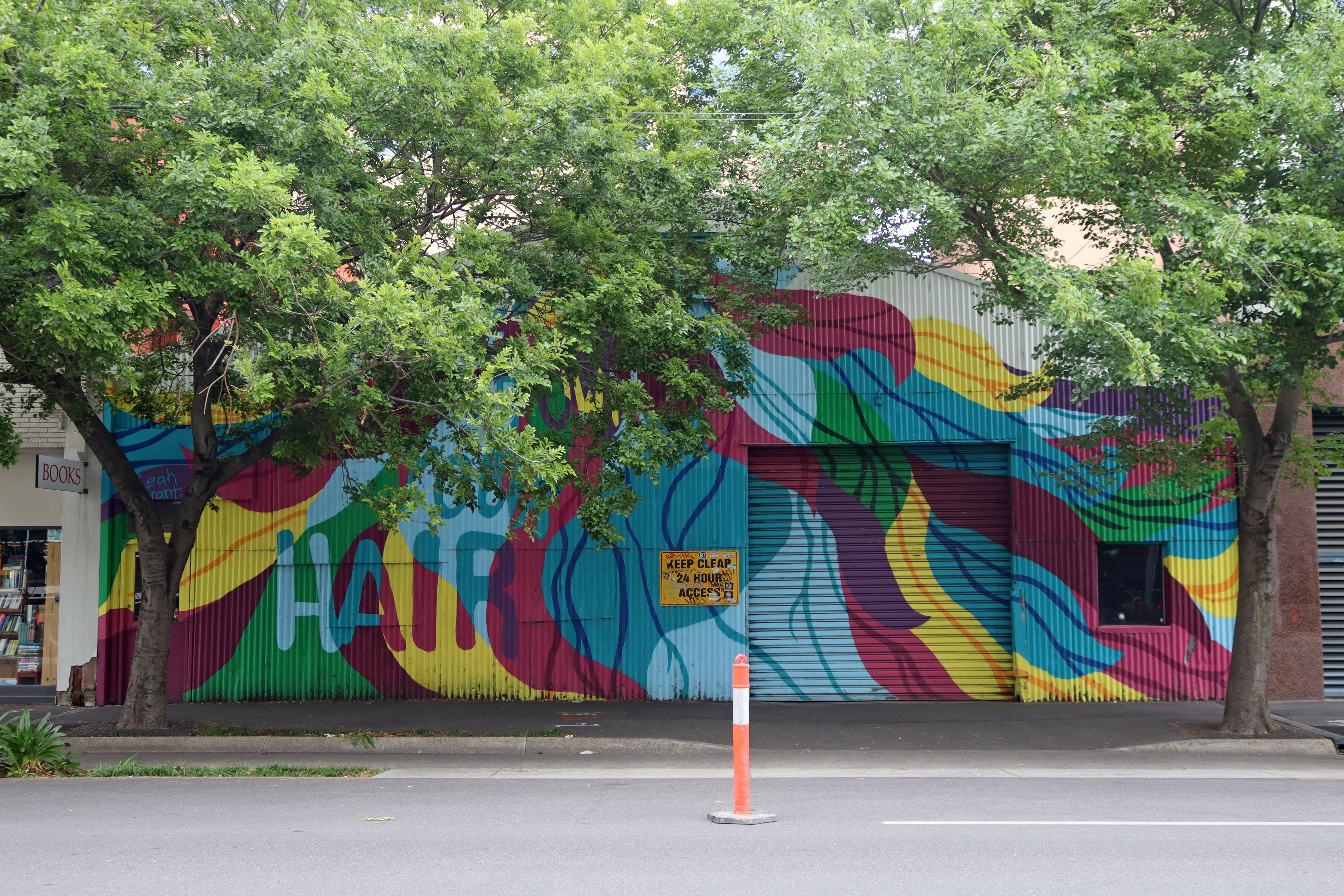 Let Down Your Hair by Leah Grant | Street Art NSW