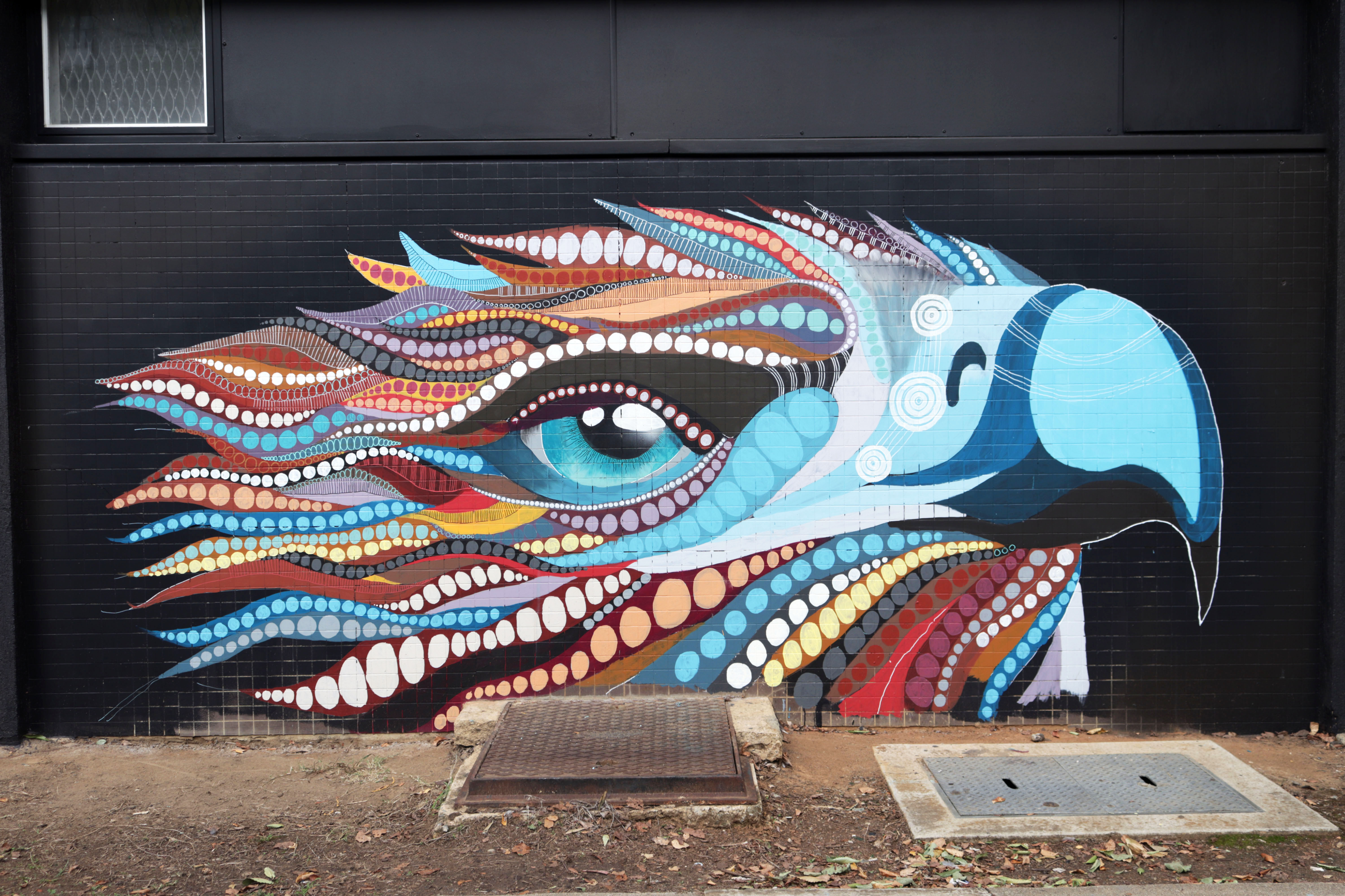 Untitled by Yarrudhamarra Creations | Street Art NSW