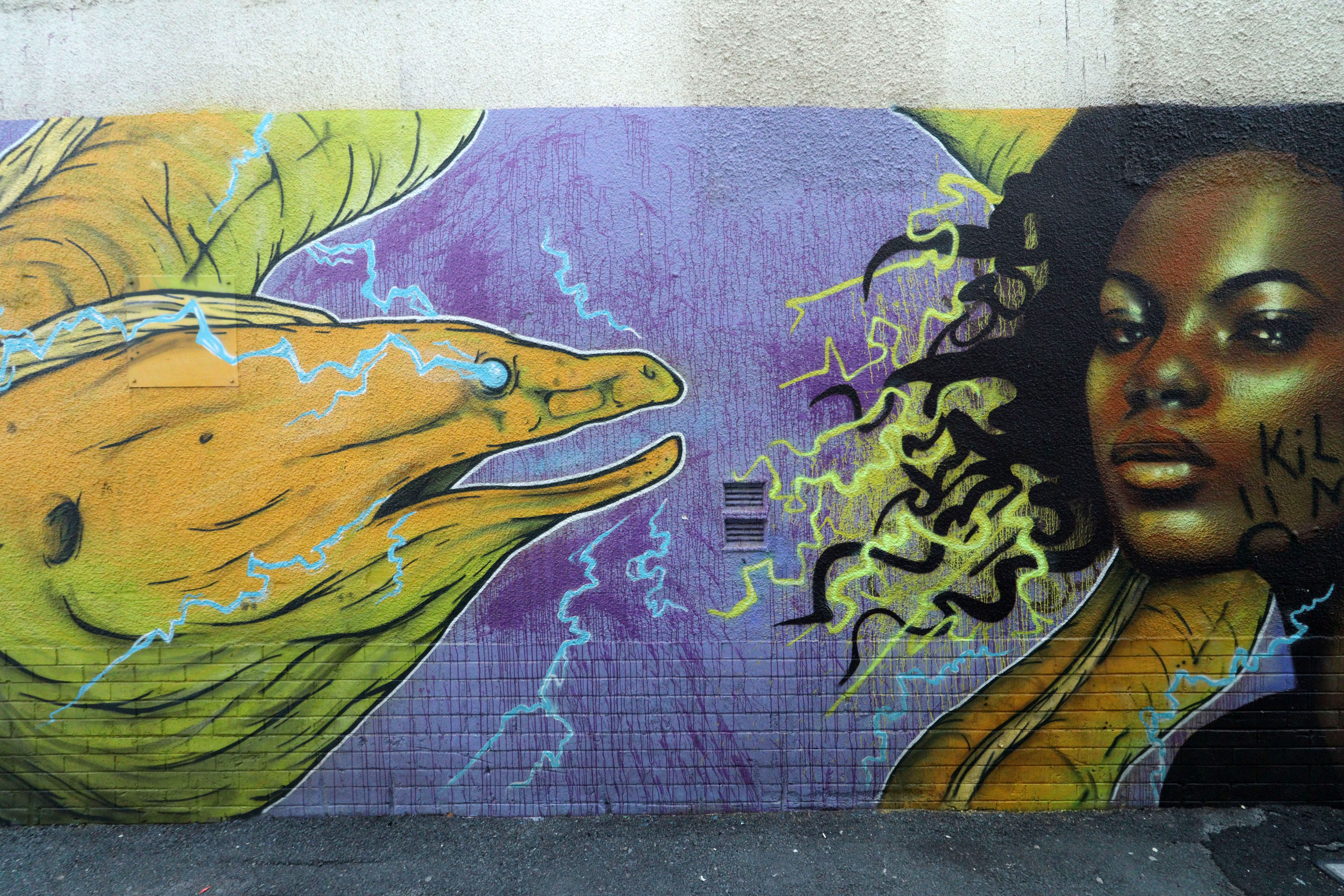 Untitled by Faith Kerehona | Street Art NSW
