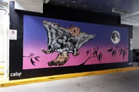 Sugar Glider Night Flying