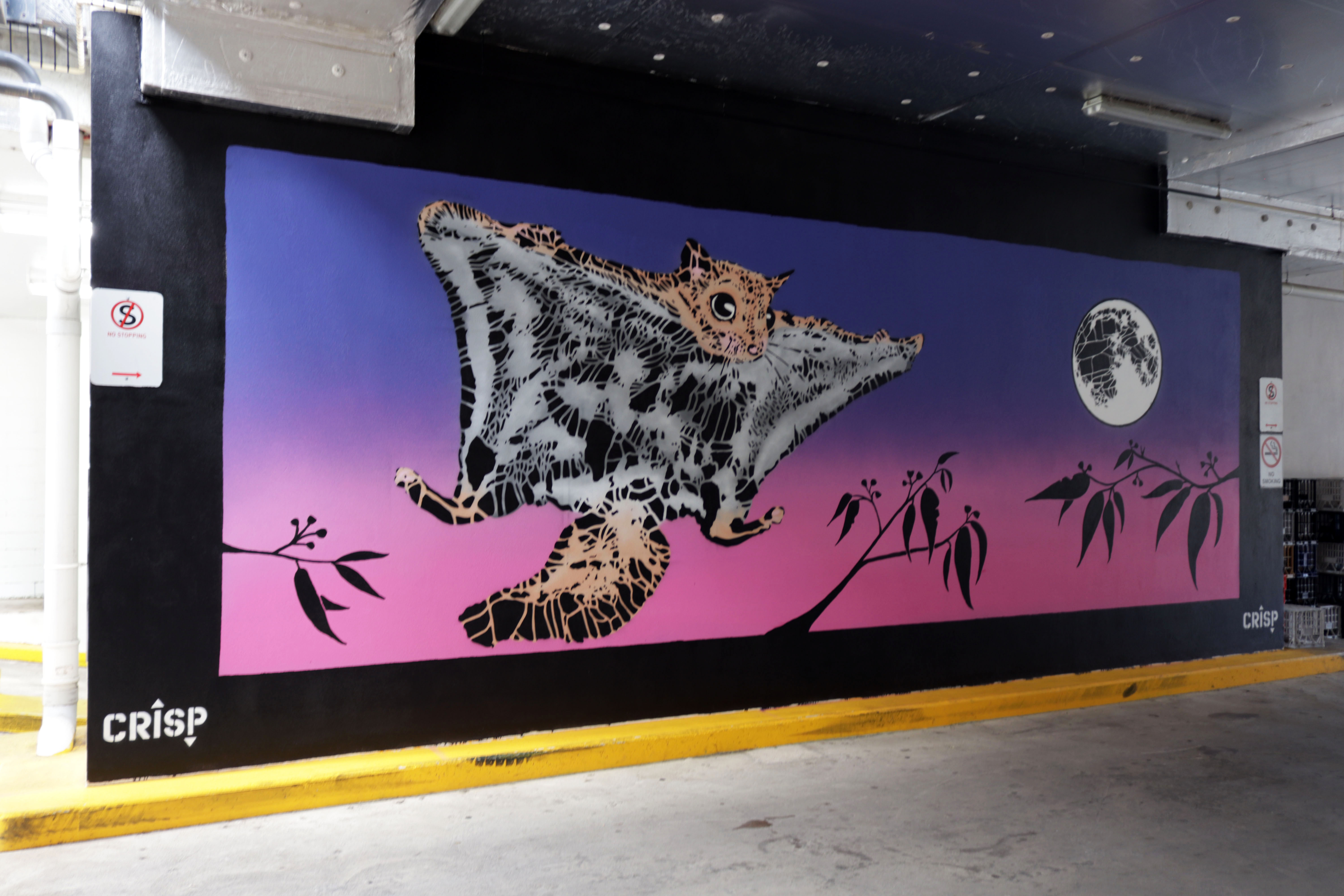 Sugar Glider Night Flying