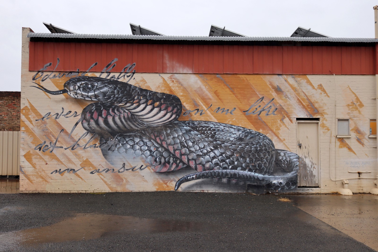 Pseudechis Porphyriacus by Sirum | Street Art NSW