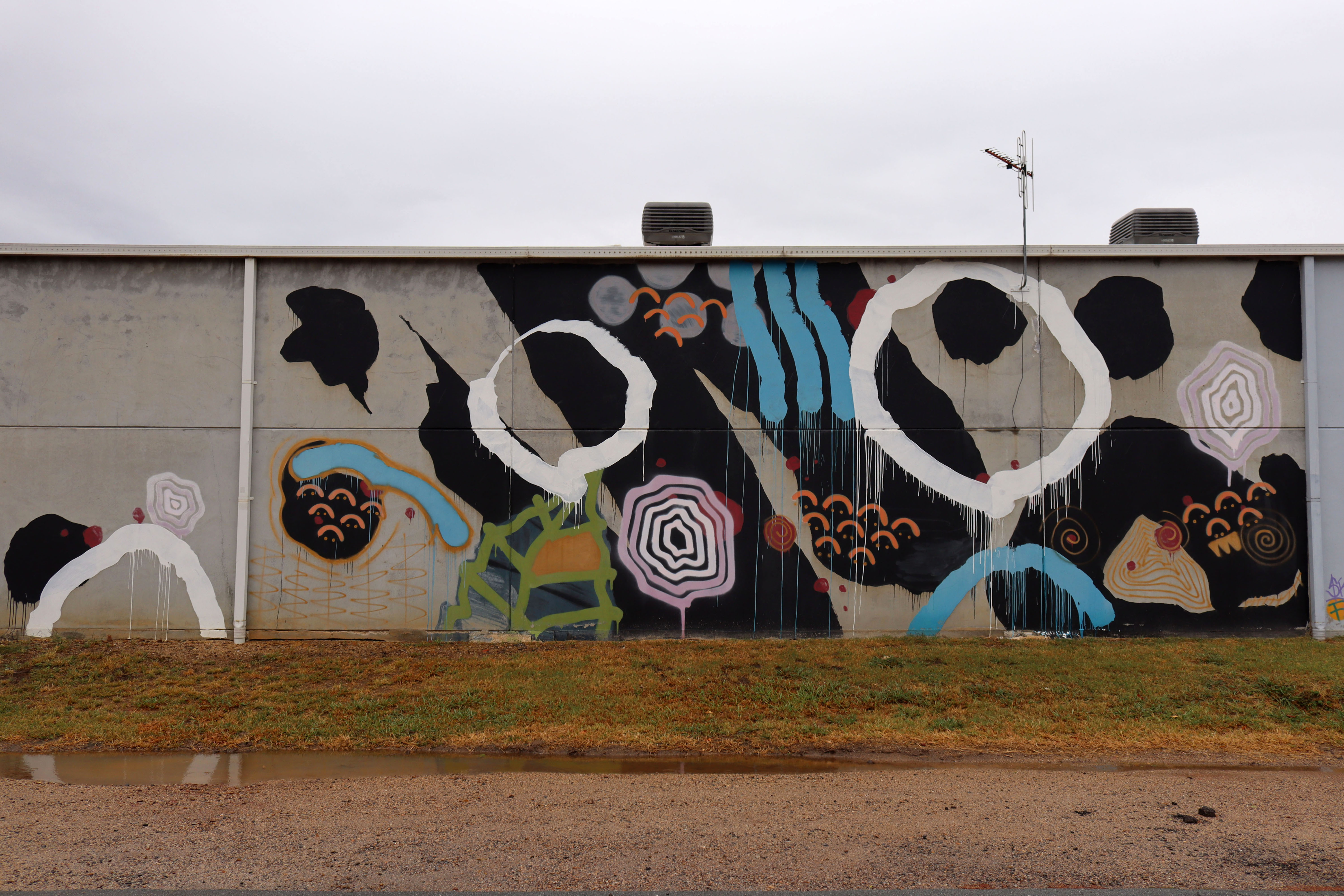 Untitled by AskewOne | Street Art NSW