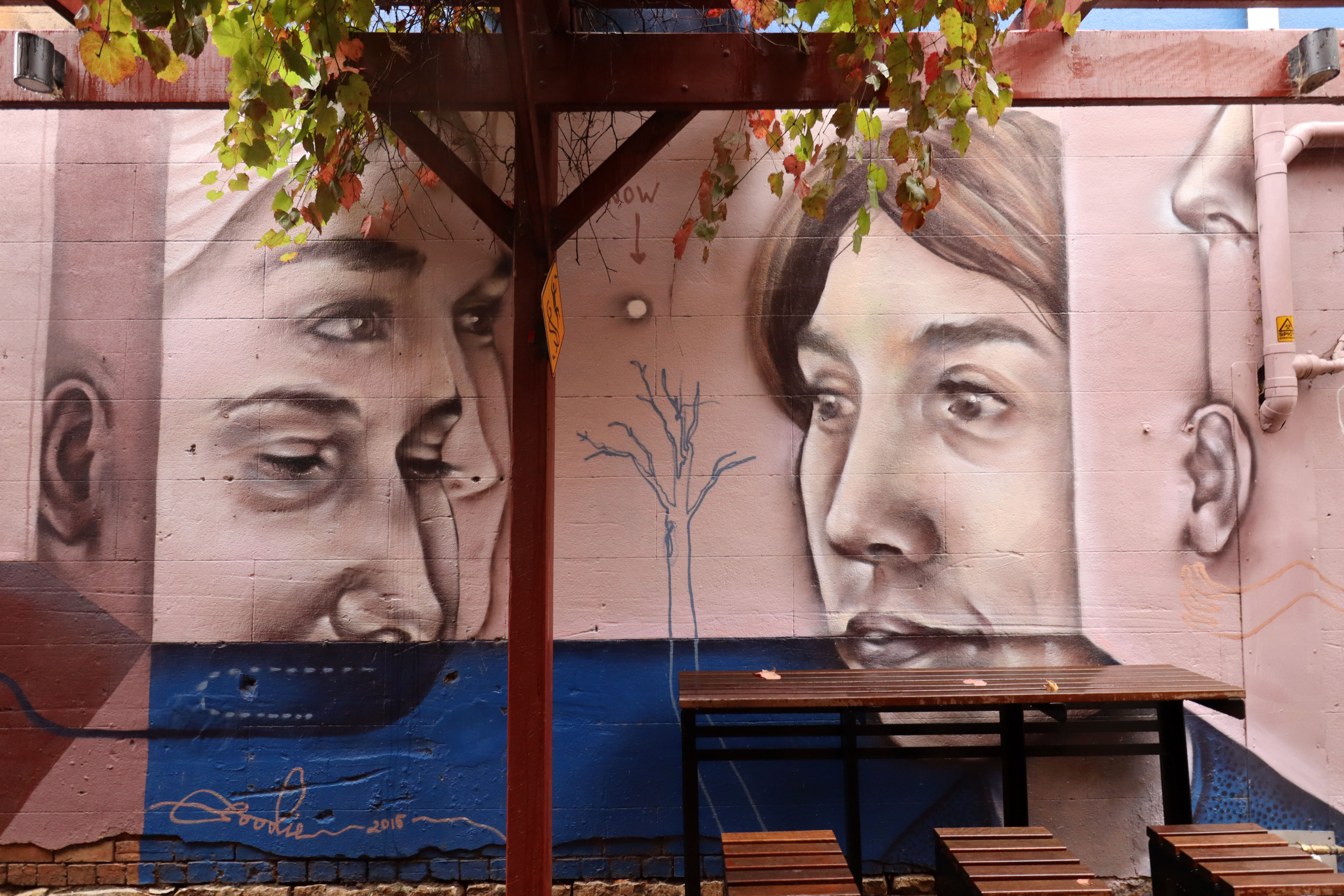 Untitled by Goodie | Street Art NSW