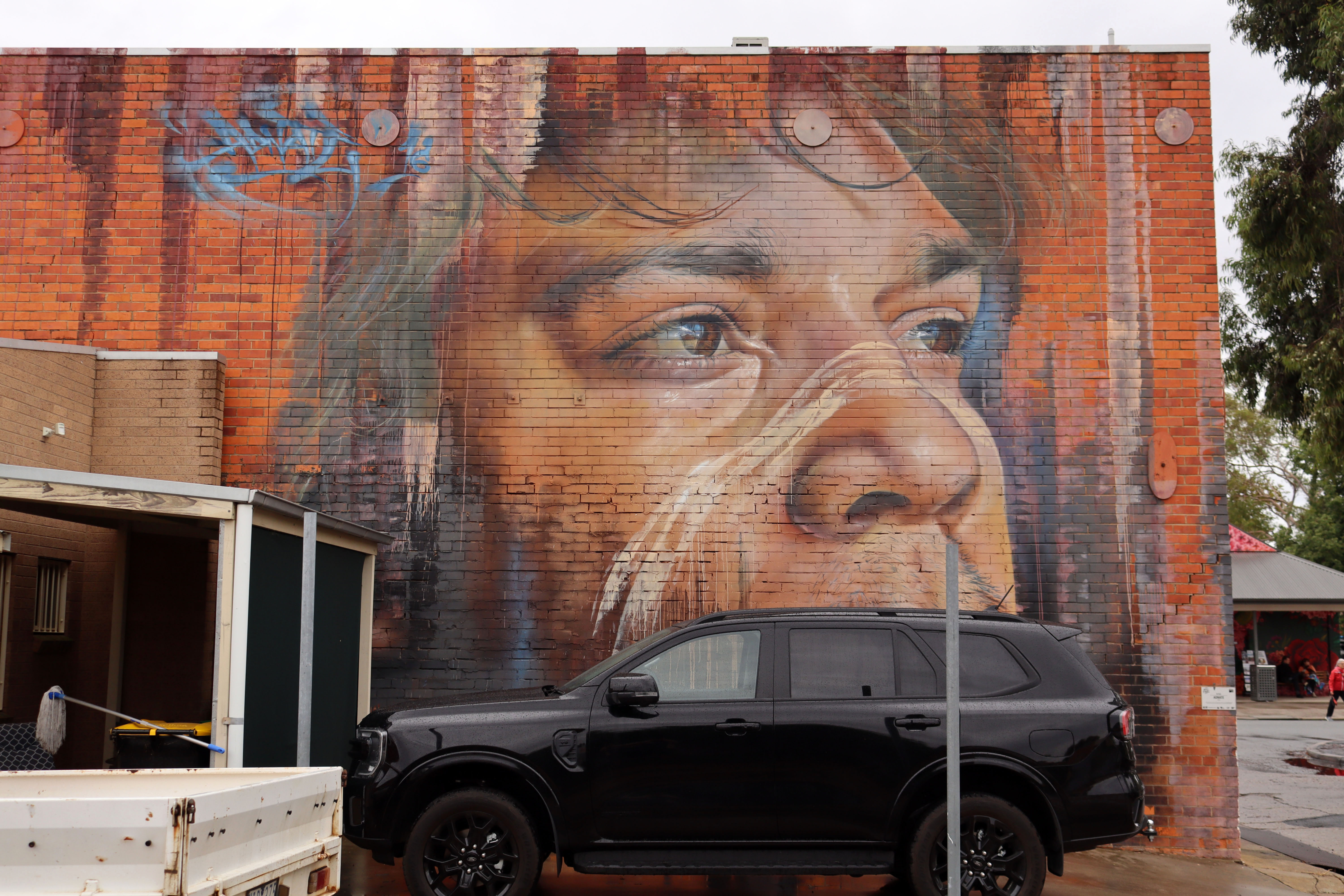 Dallas by Adnate | Street Art NSW