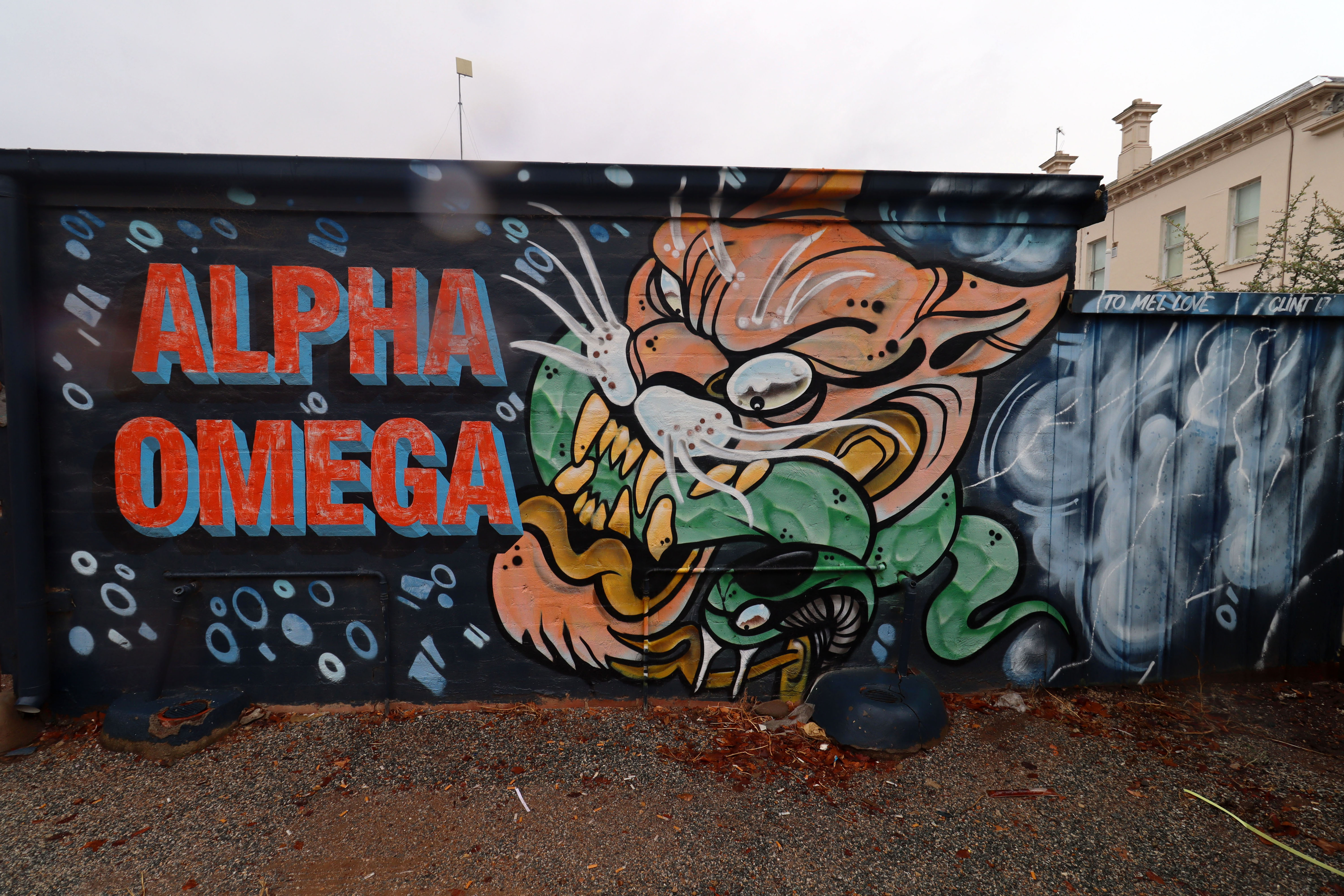 Alpha Omega