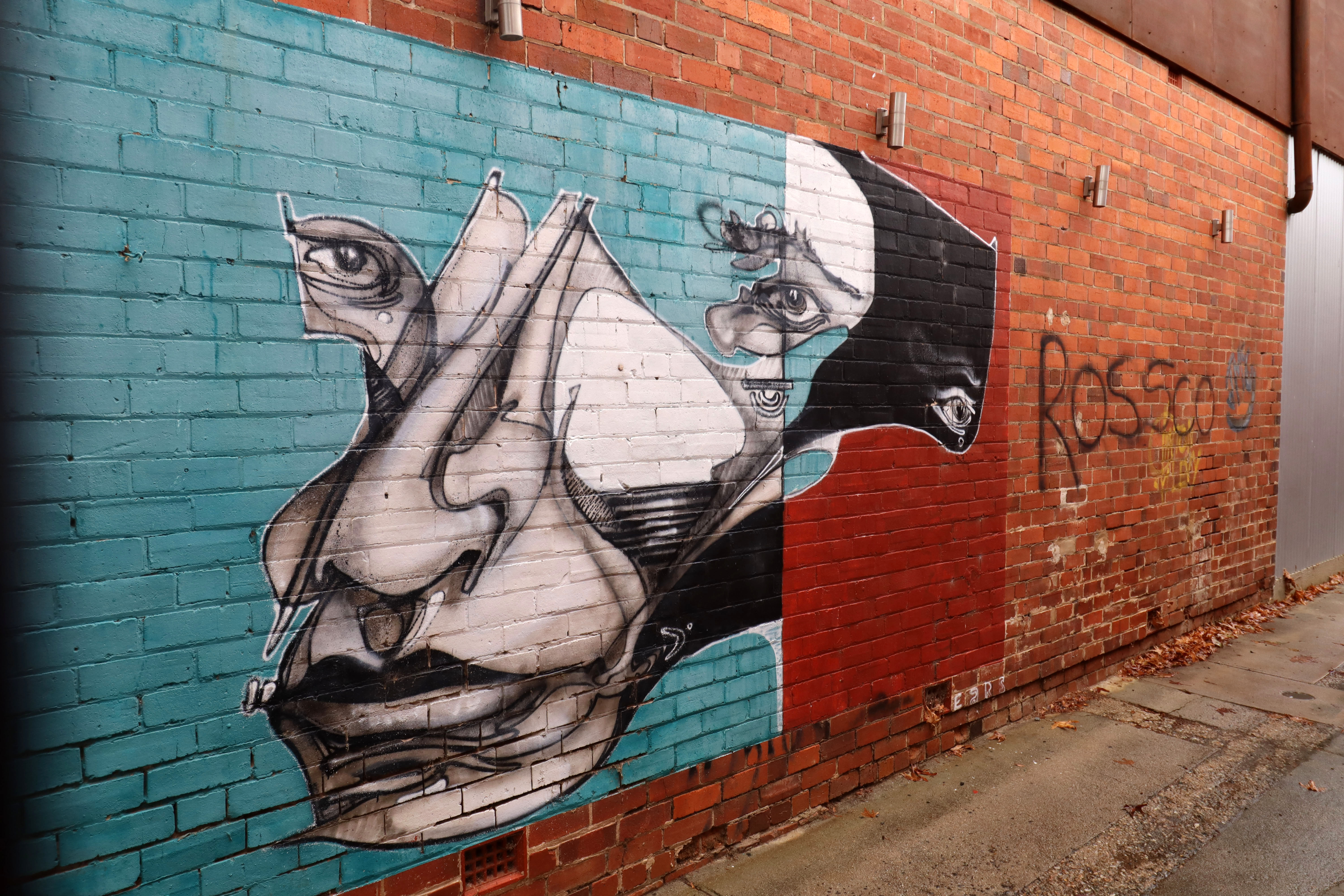 Untitled by Ears | Street Art NSW