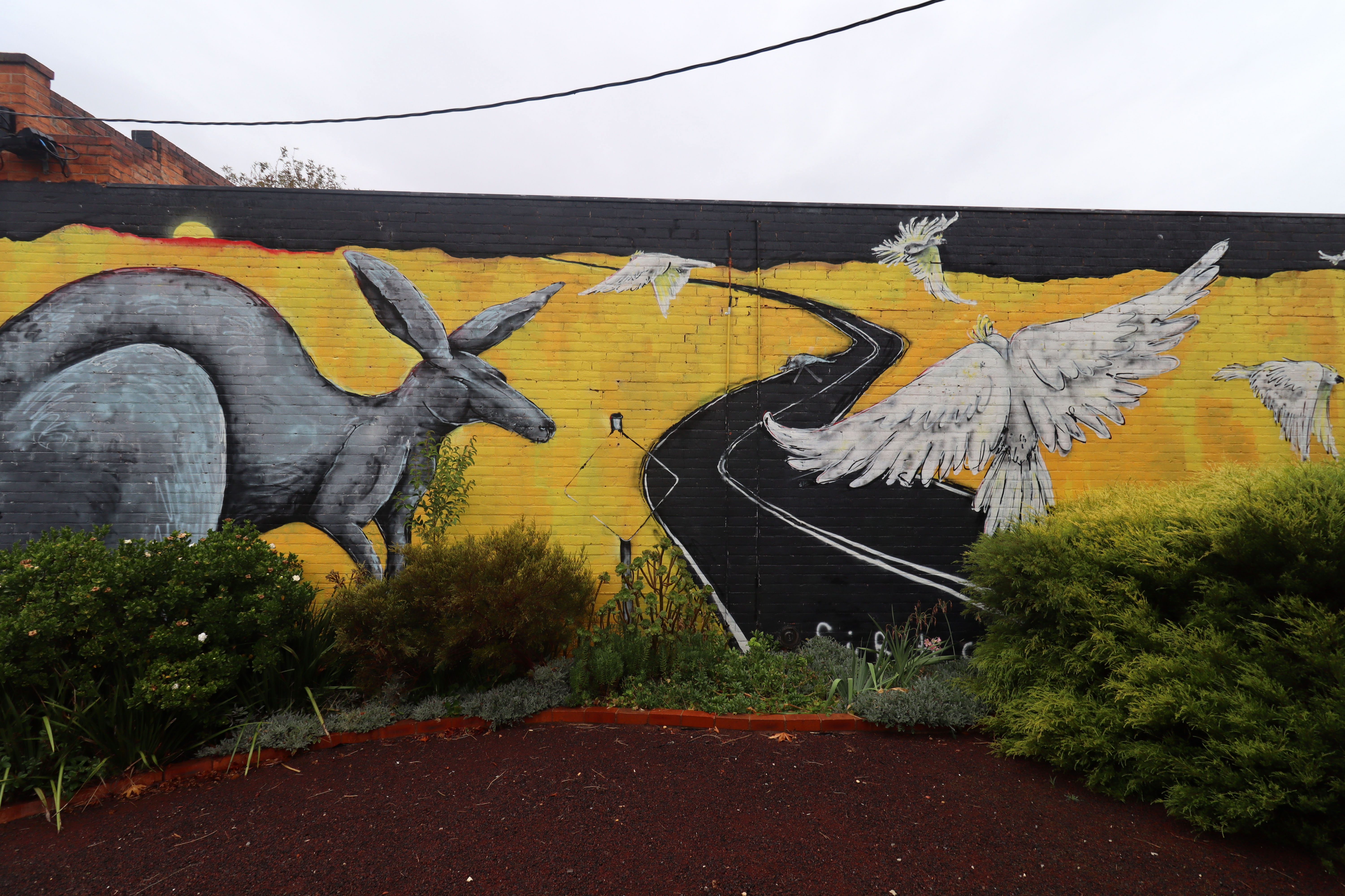 Untitled by Chris Henderson | Street Art NSW