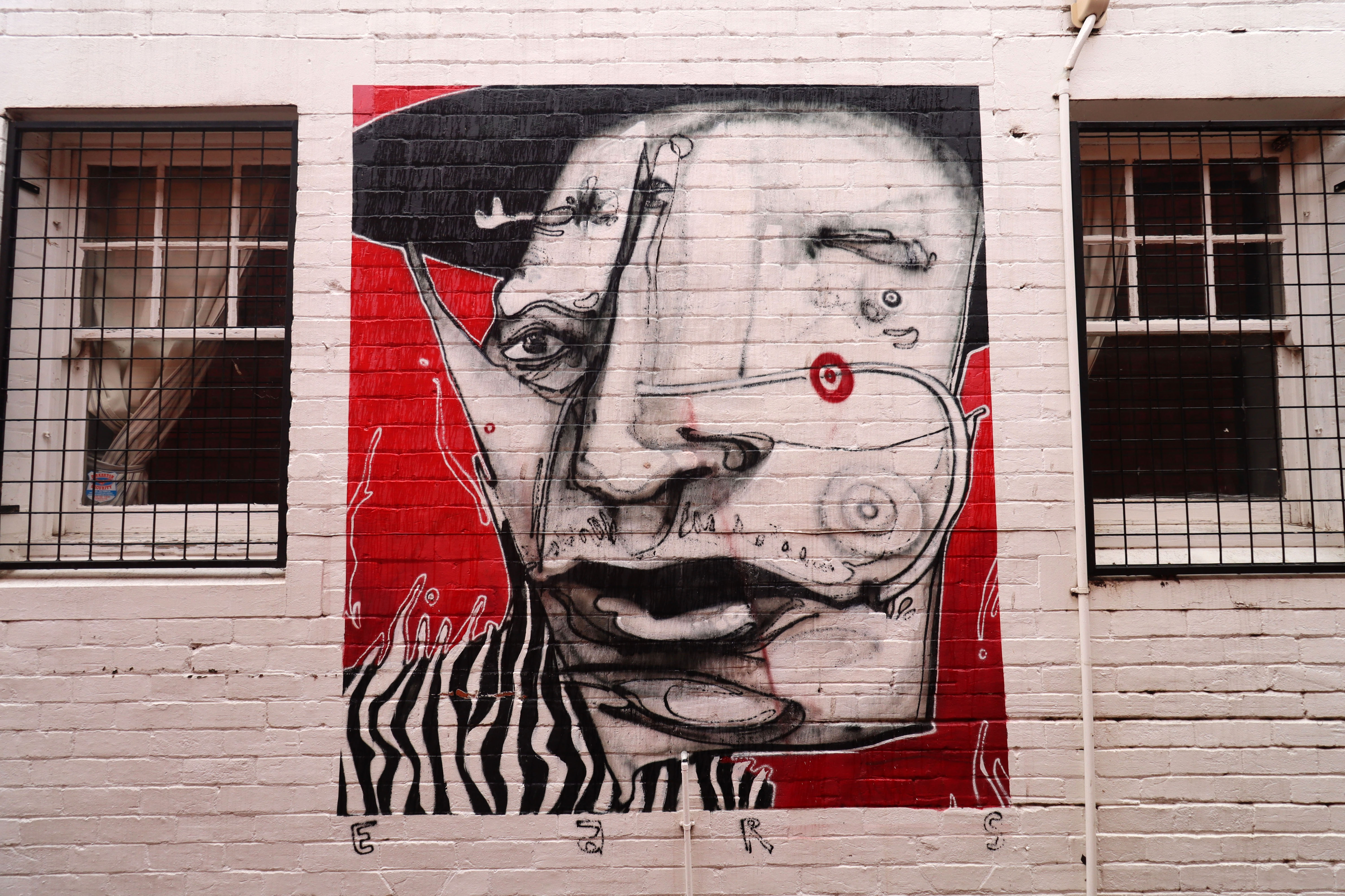 Untitled by Ears | Street Art NSW