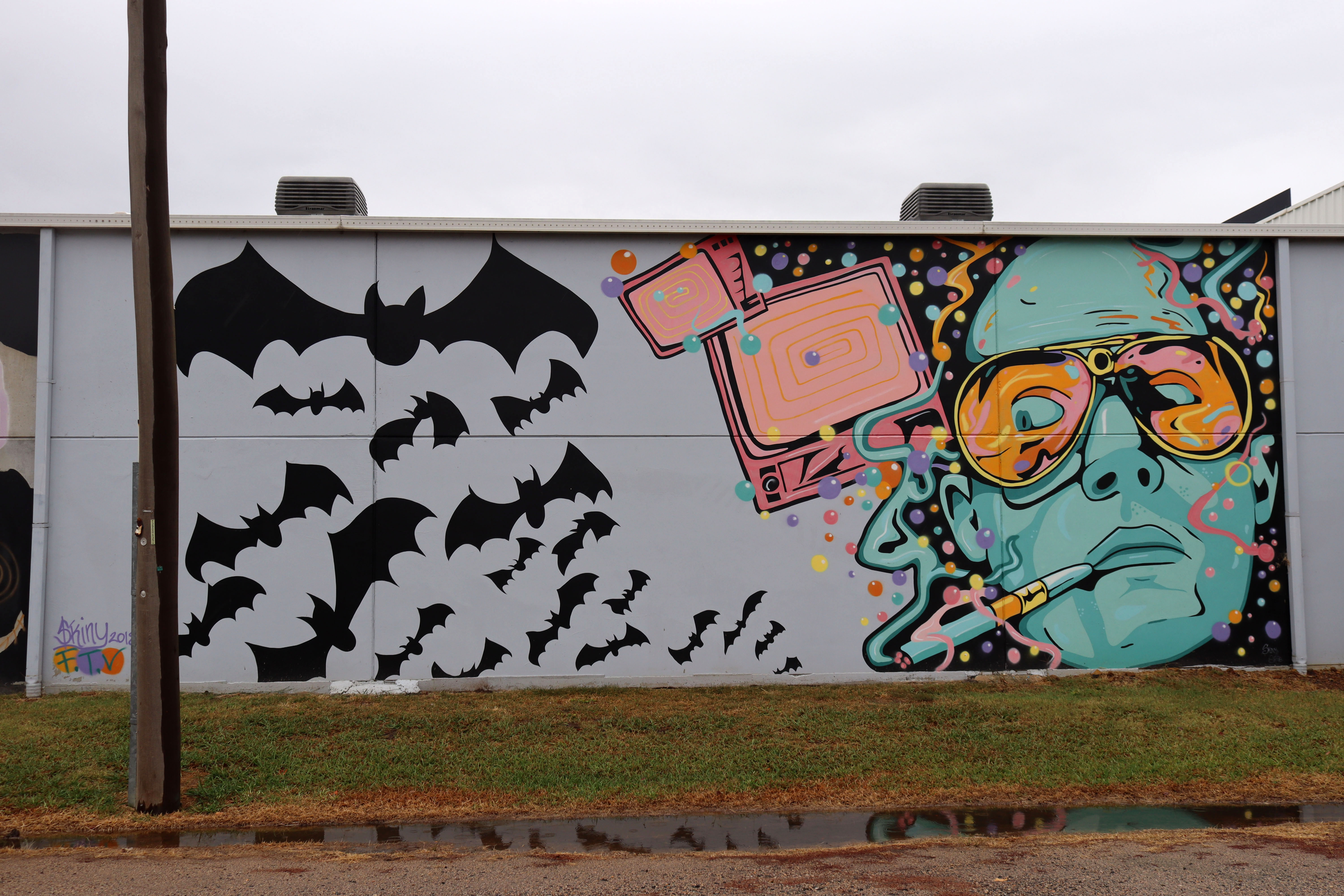 Timothy Leary by Skinny | Street Art NSW