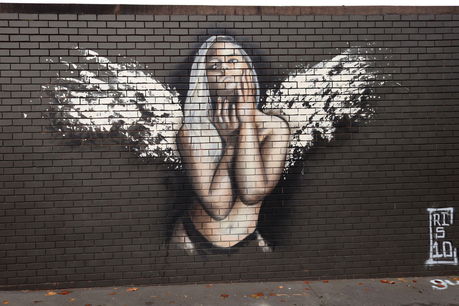 Untitled by Cristen Brunner | Street Art NSW