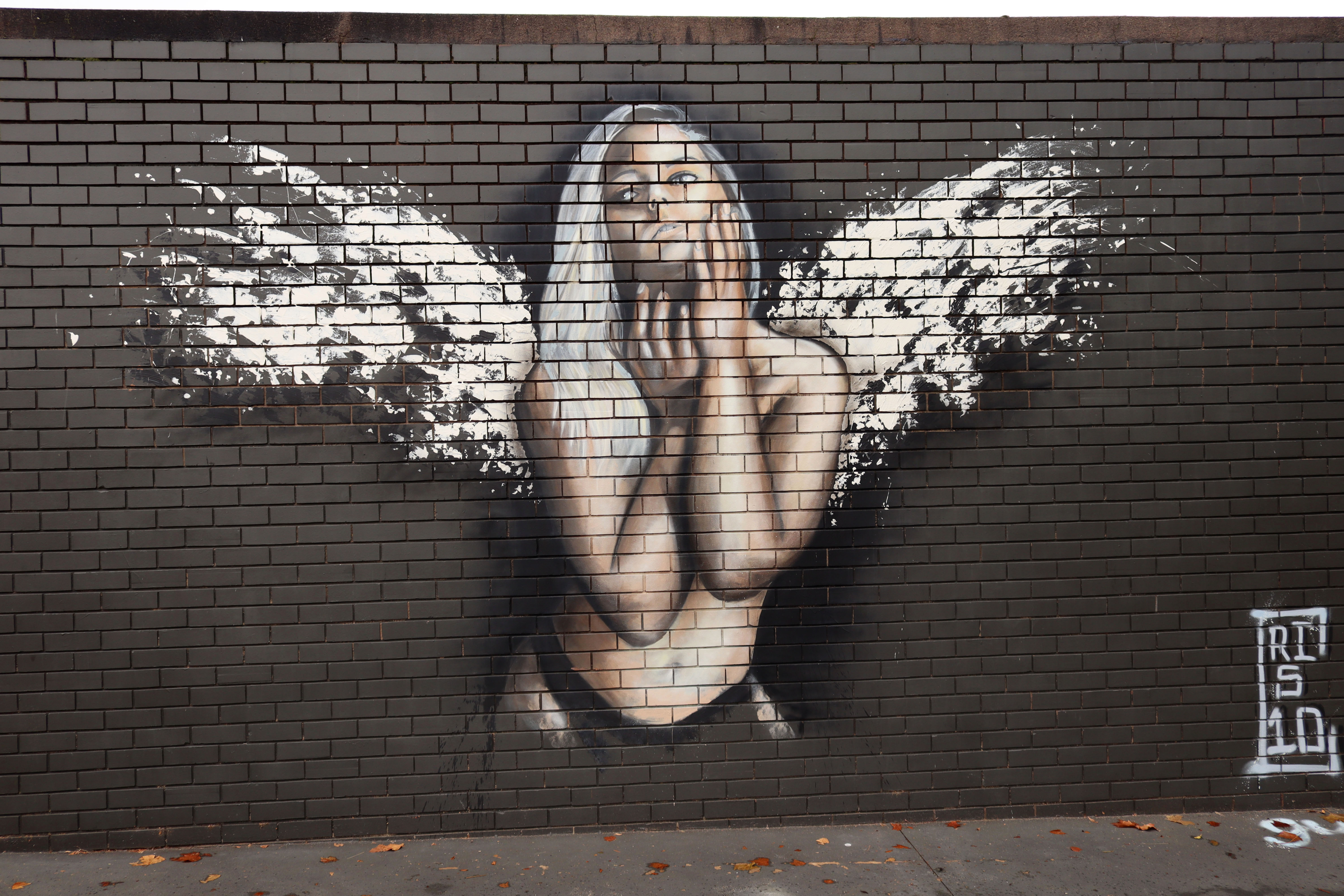 Untitled by Cristen Brunner | Street Art NSW