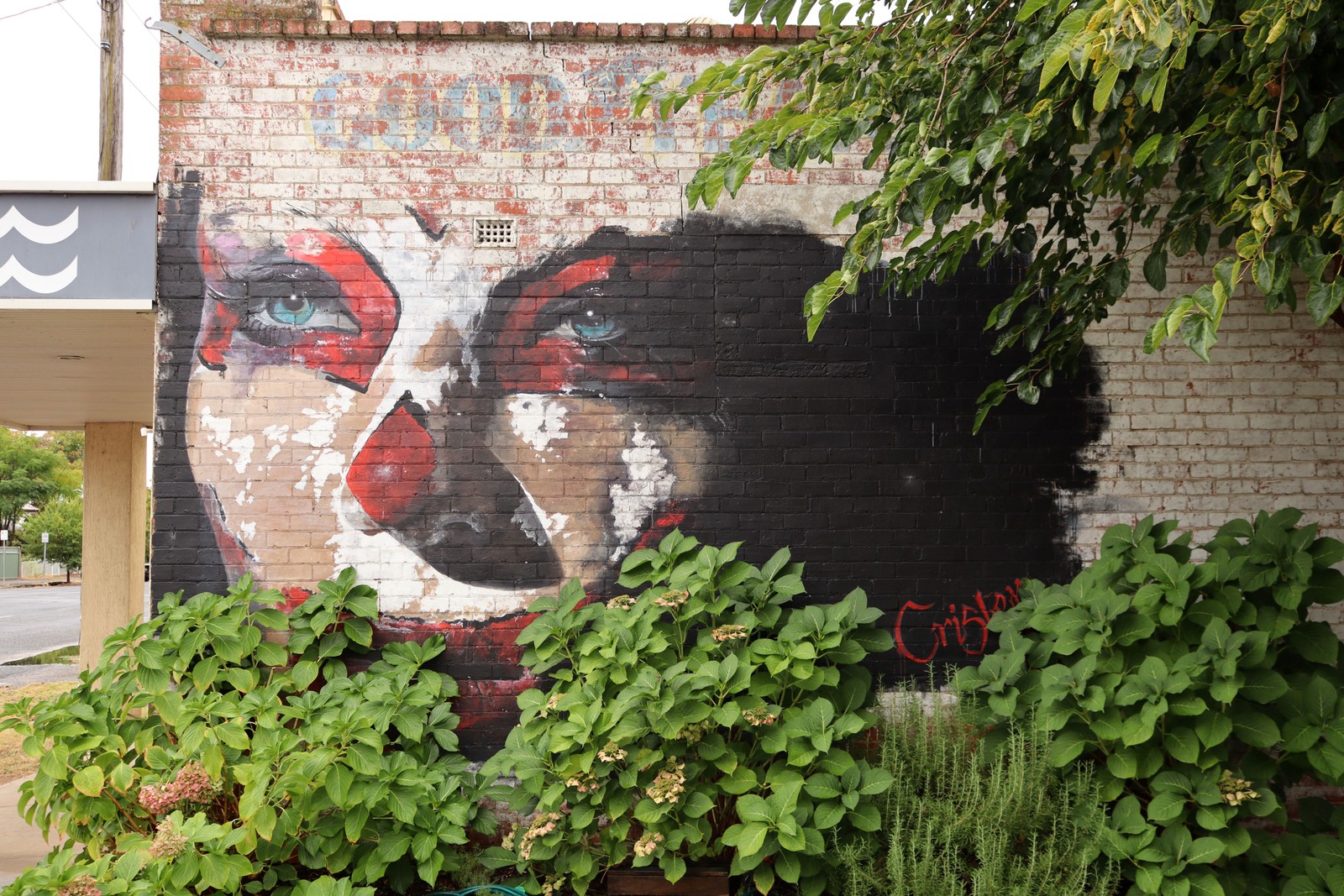 Clown Girl by Cristen Brunner | Street Art NSW