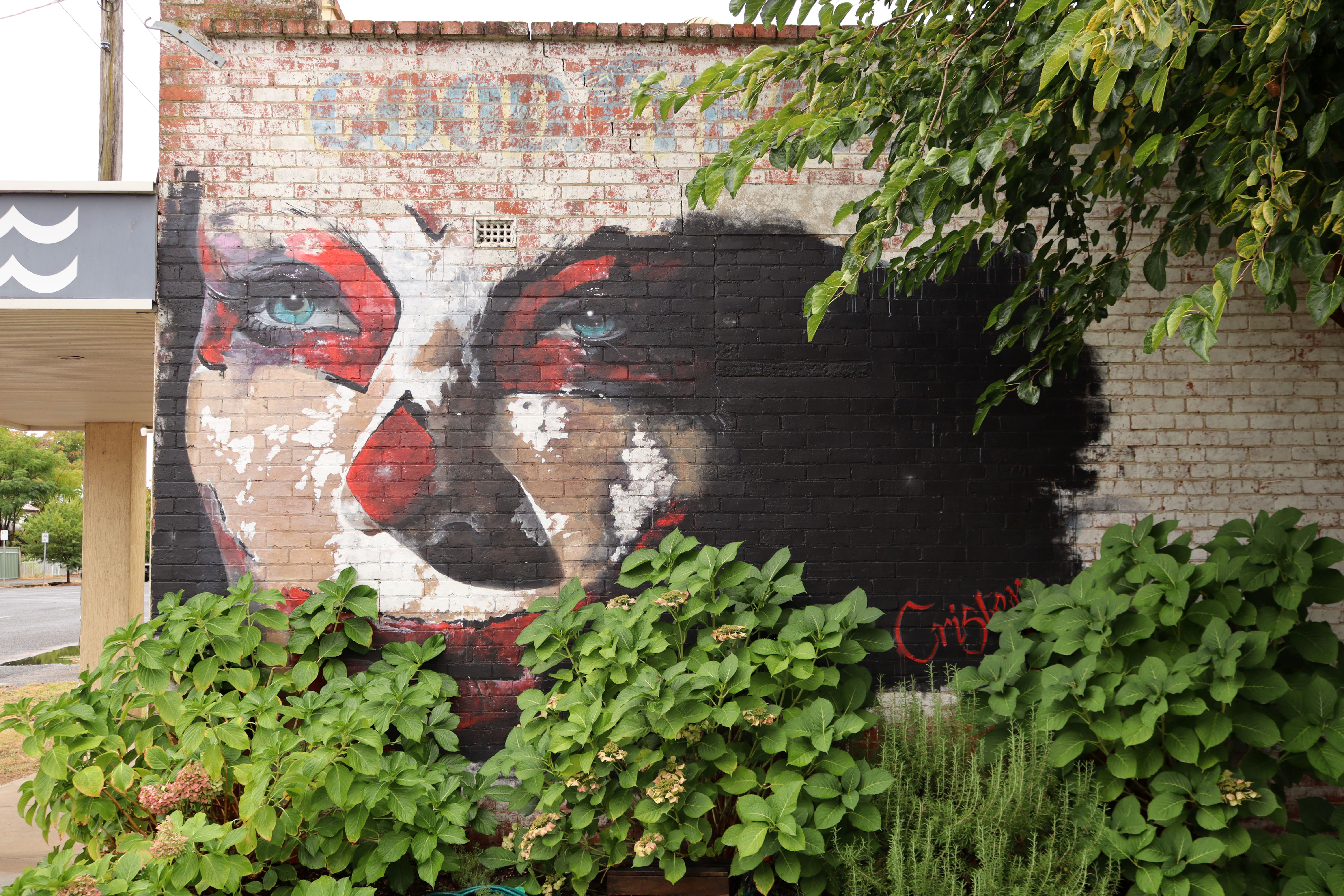 Clown Girl by Cristen Brunner | Street Art NSW