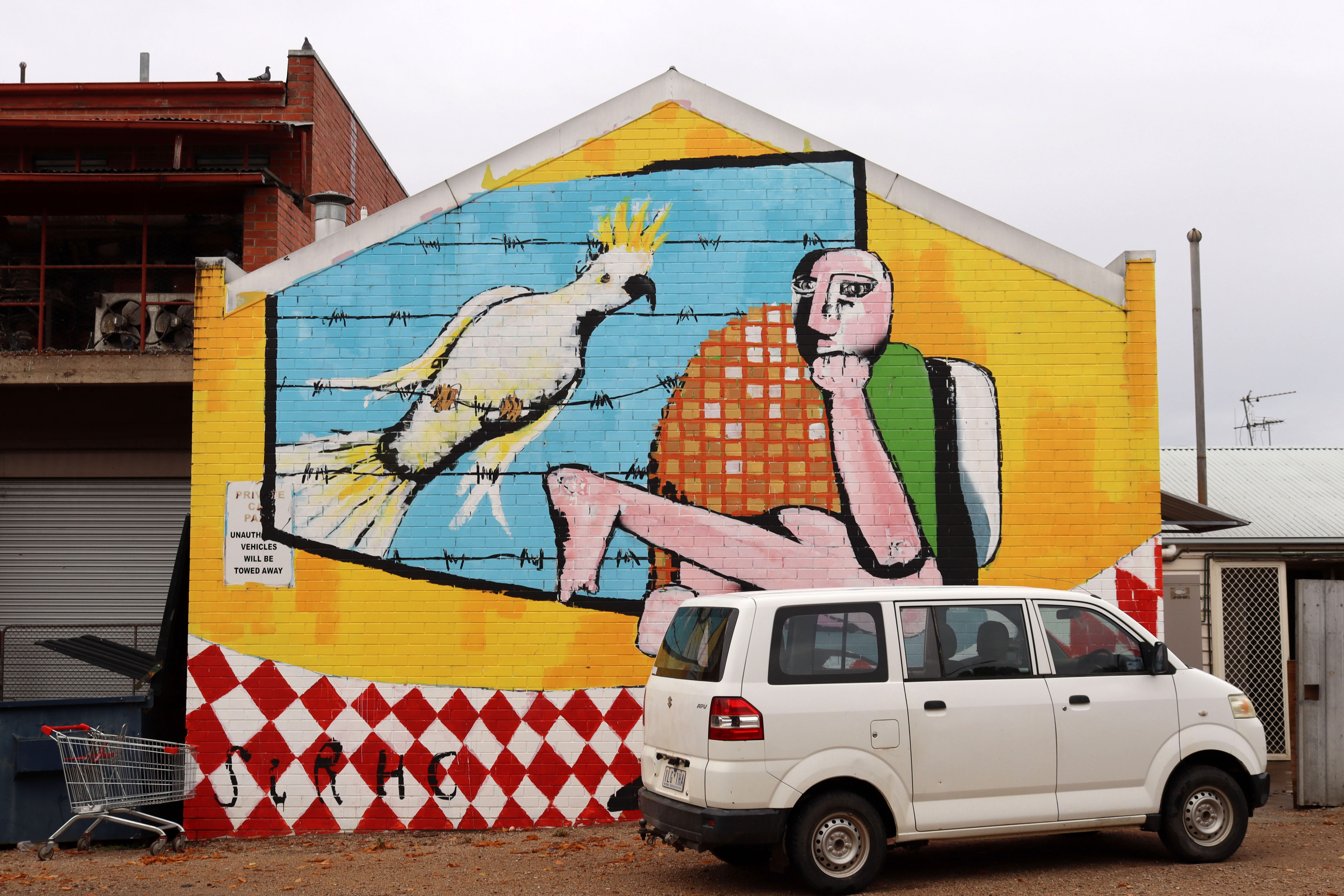 Cocky Cubists by Chris Henderson | Street Art NSW