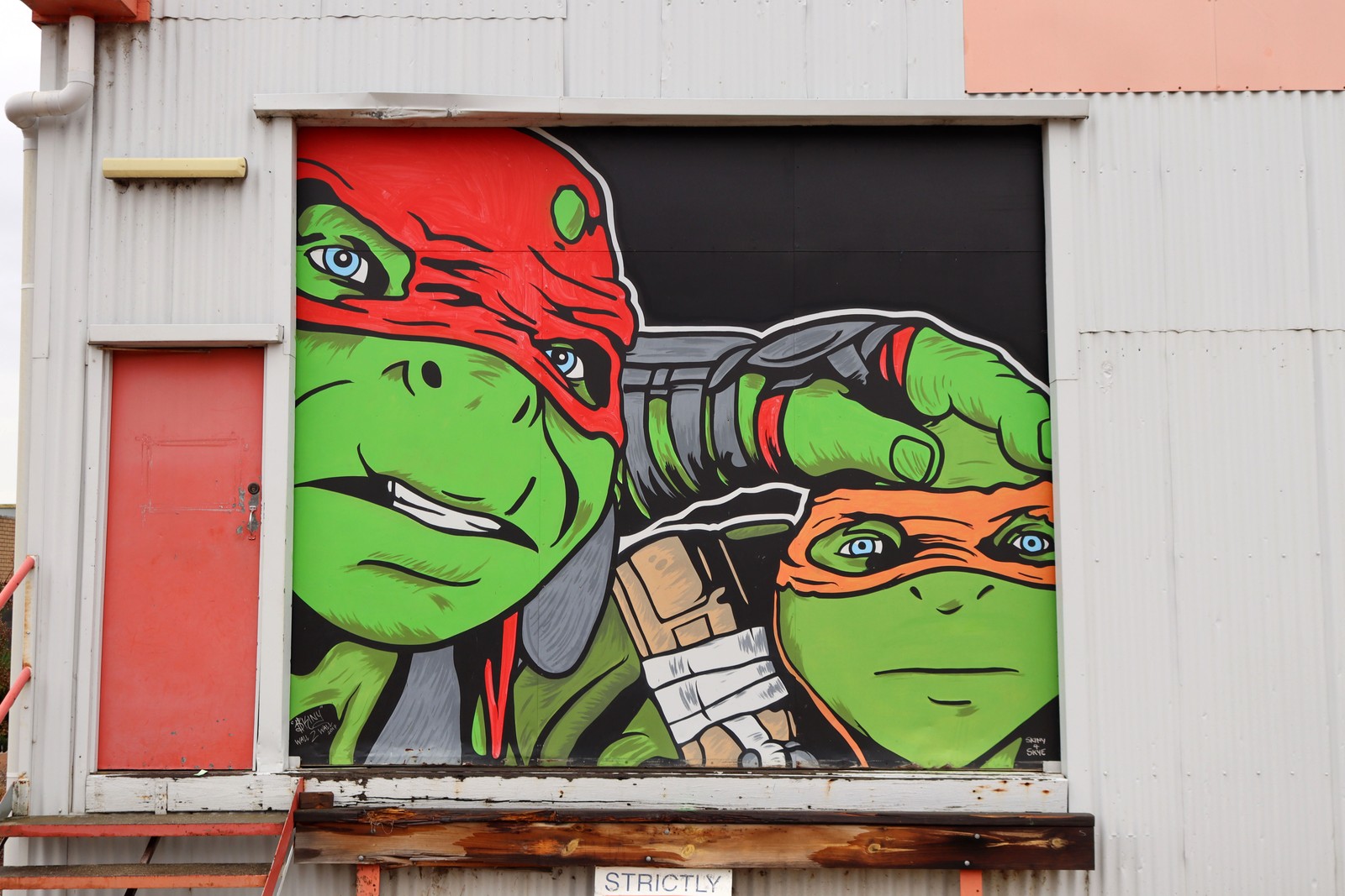 Michelangelo and Raphael by Skinny | Street Art NSW