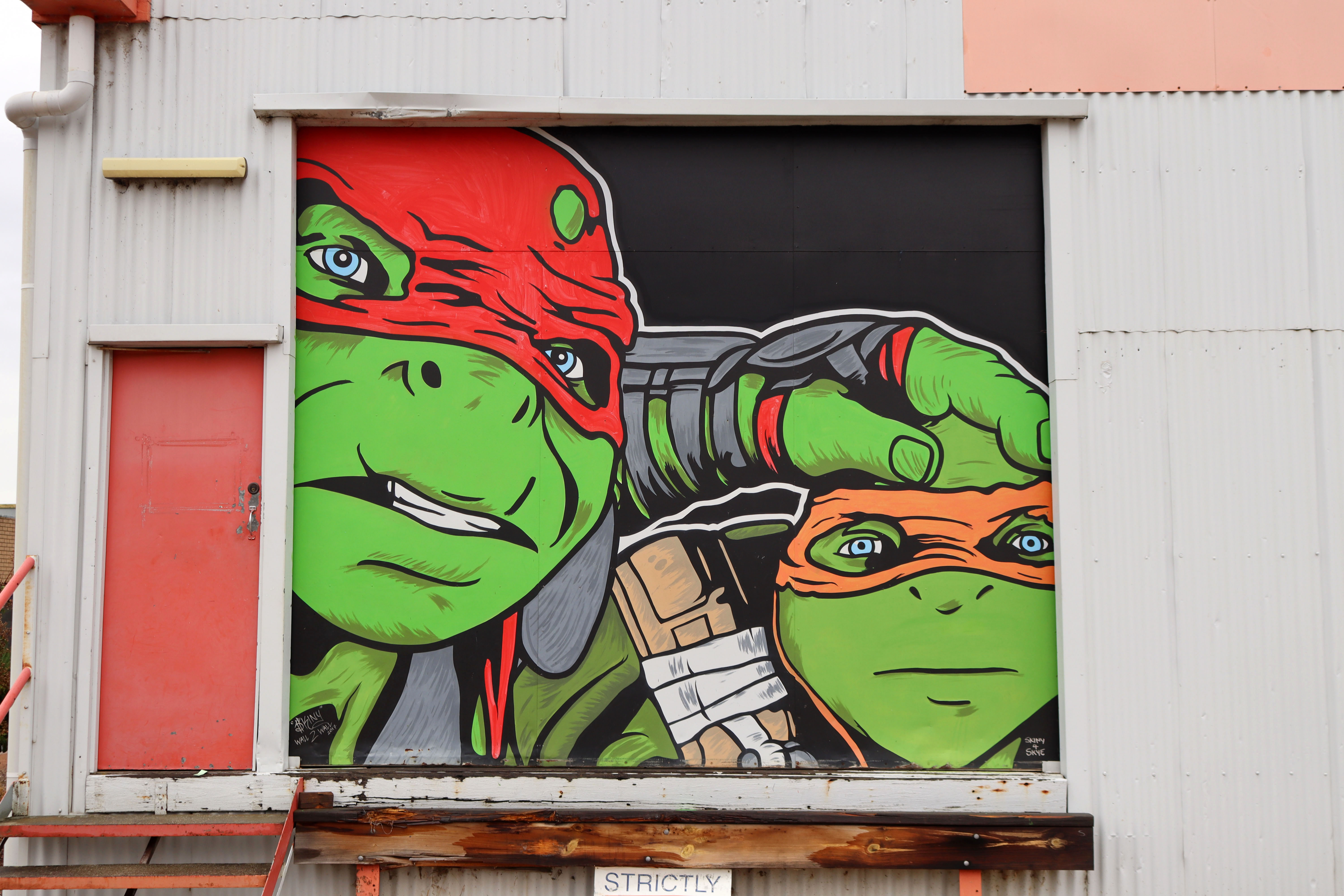 Michelangelo and Raphael by Skinny | Street Art NSW